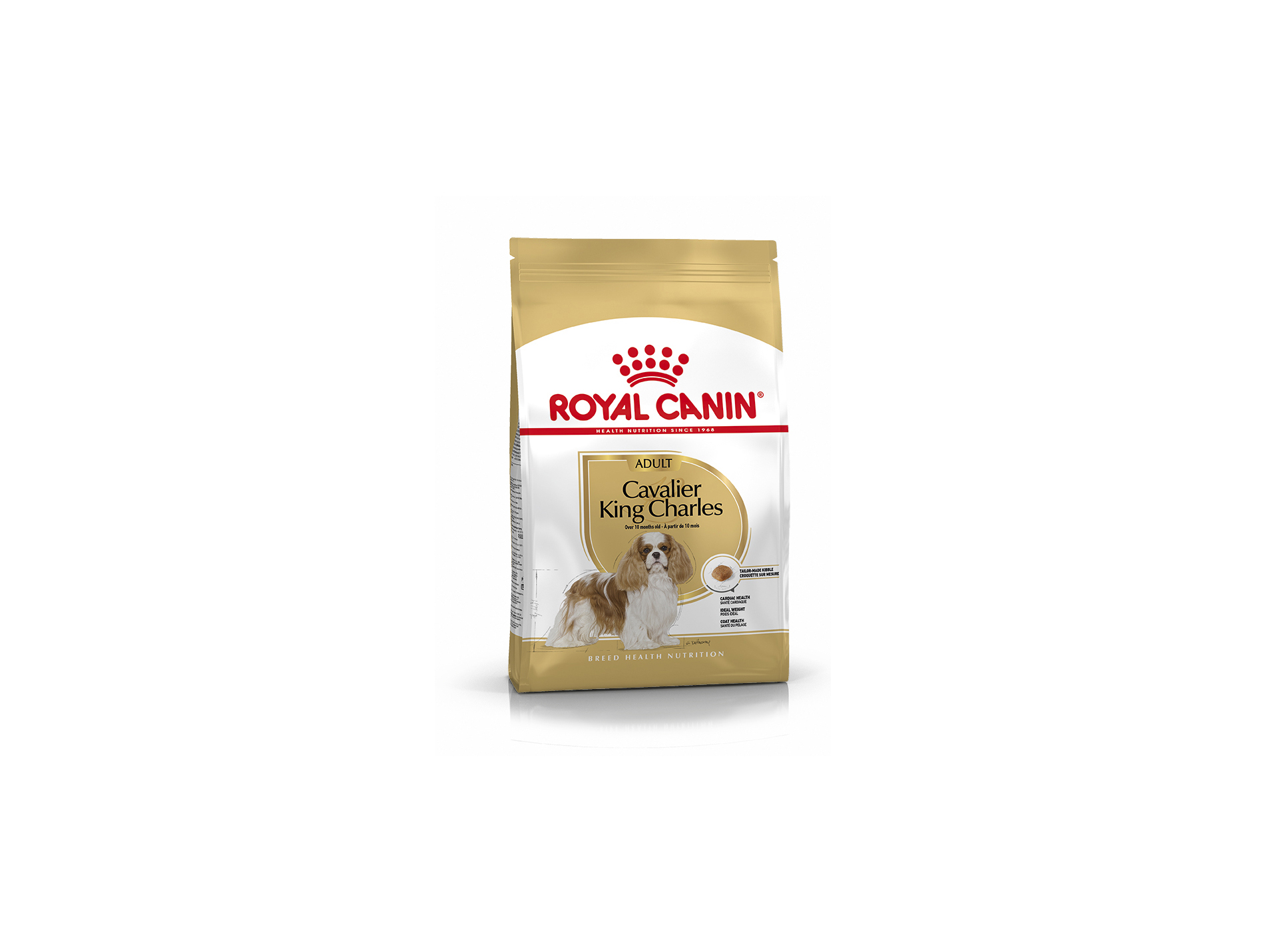 Croquettes Cavalier King Charles adulte ROYAL CANIN 1,5kg