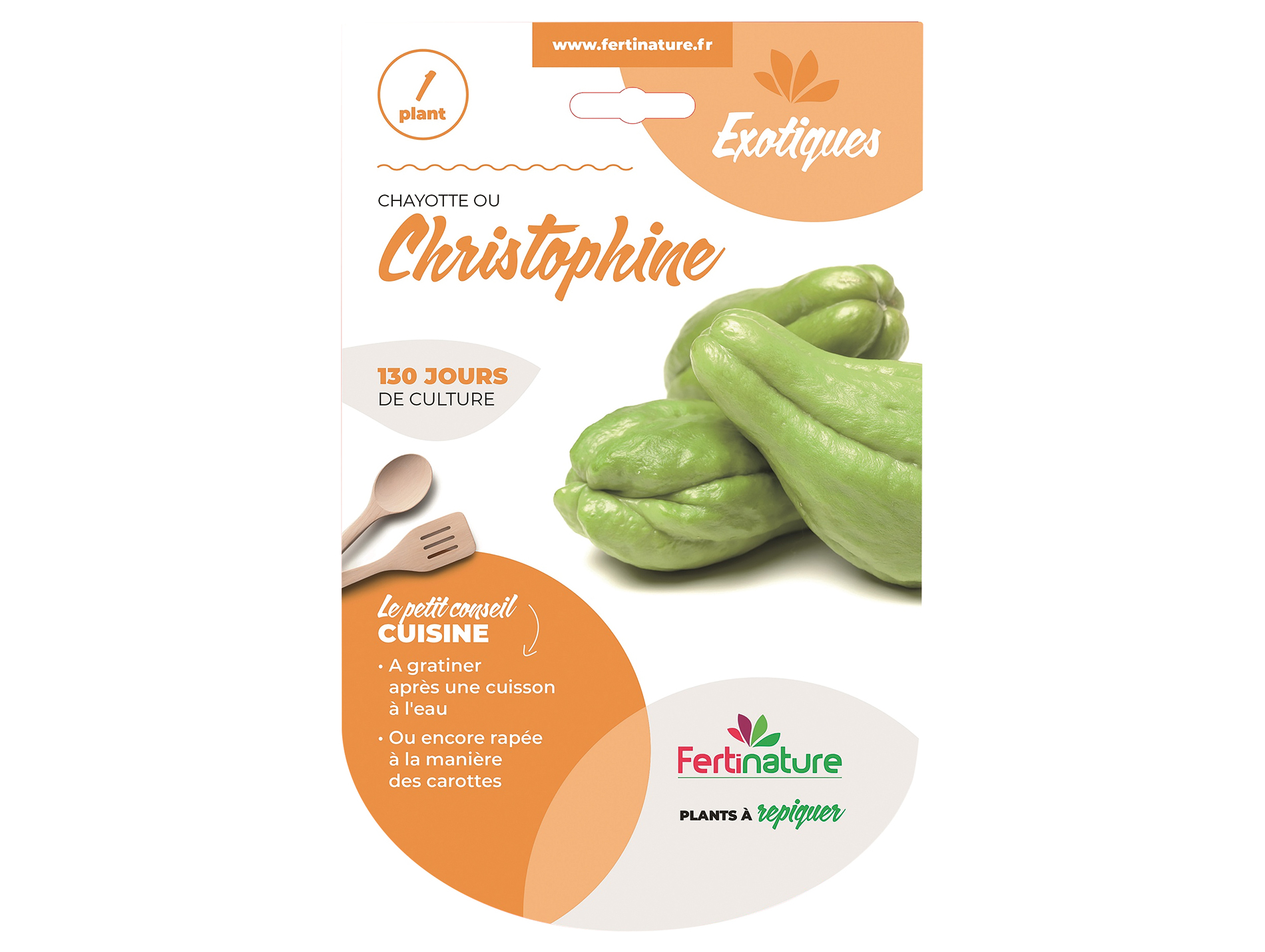 Plants de christophine Chromo 1 plant