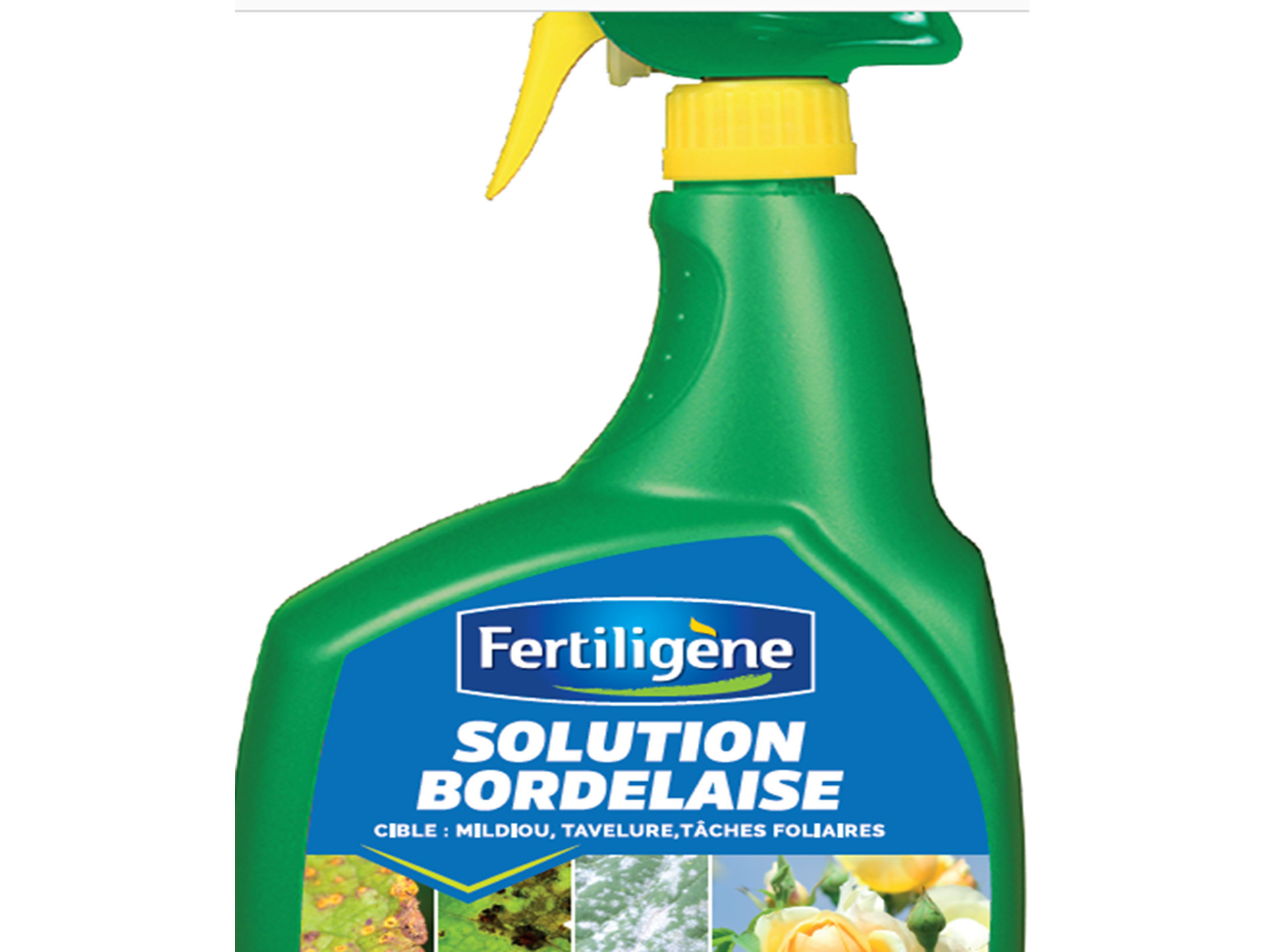Bouillie bordelaise 800ml