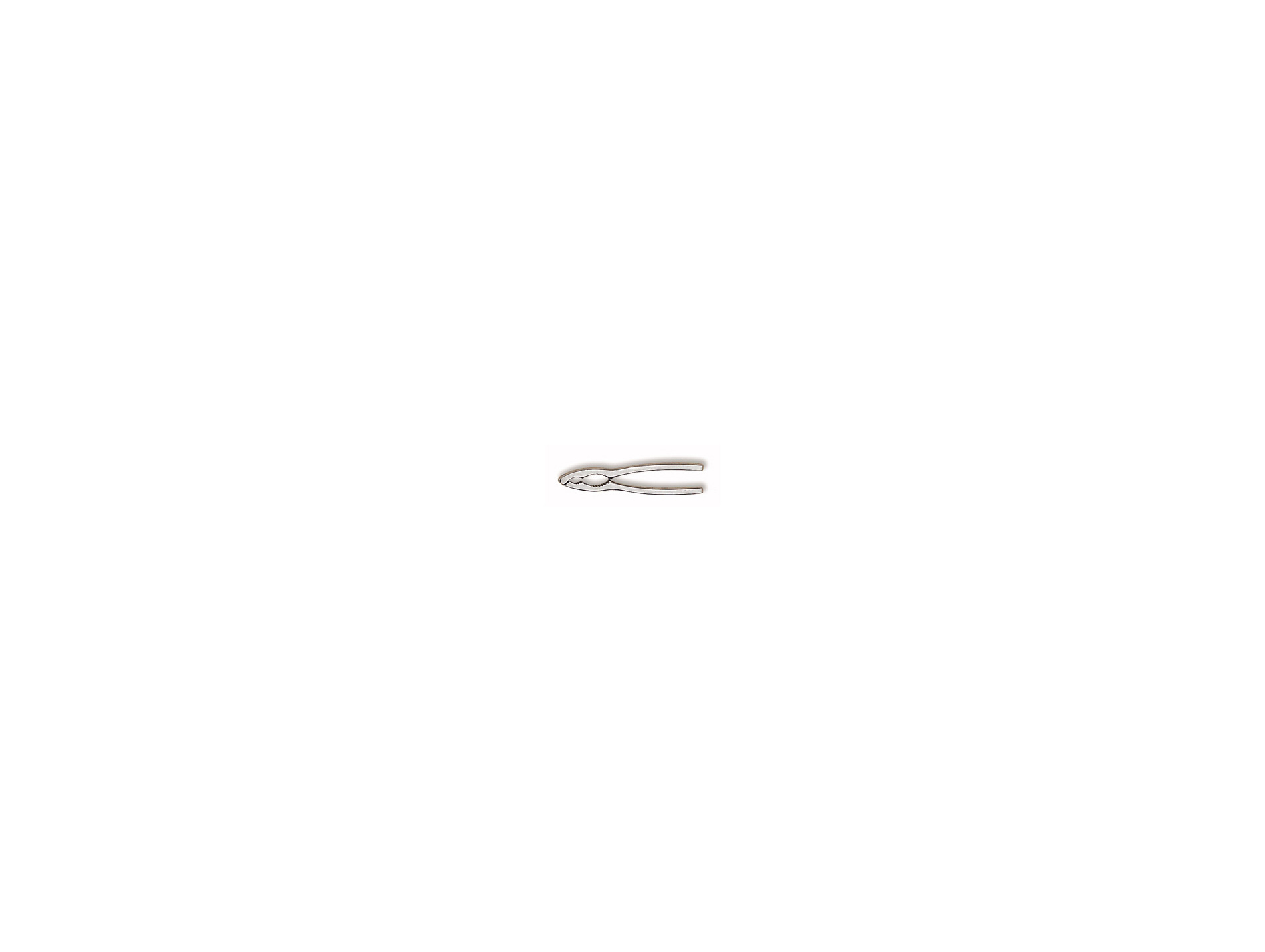 Casse-noix DEGLON inox