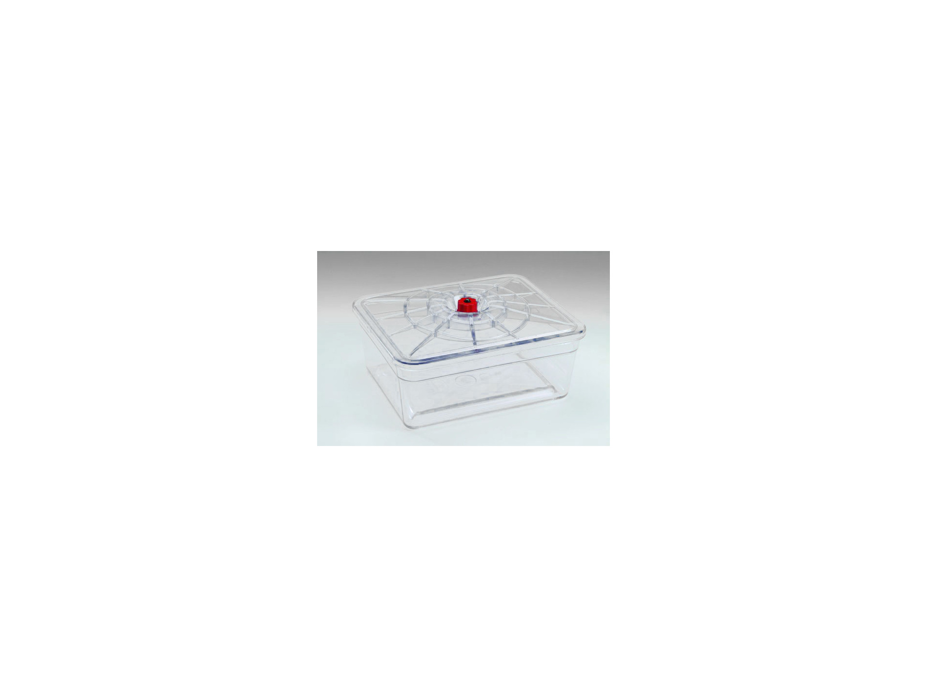 Plat rectangle REBER 1 compartiment 20x25