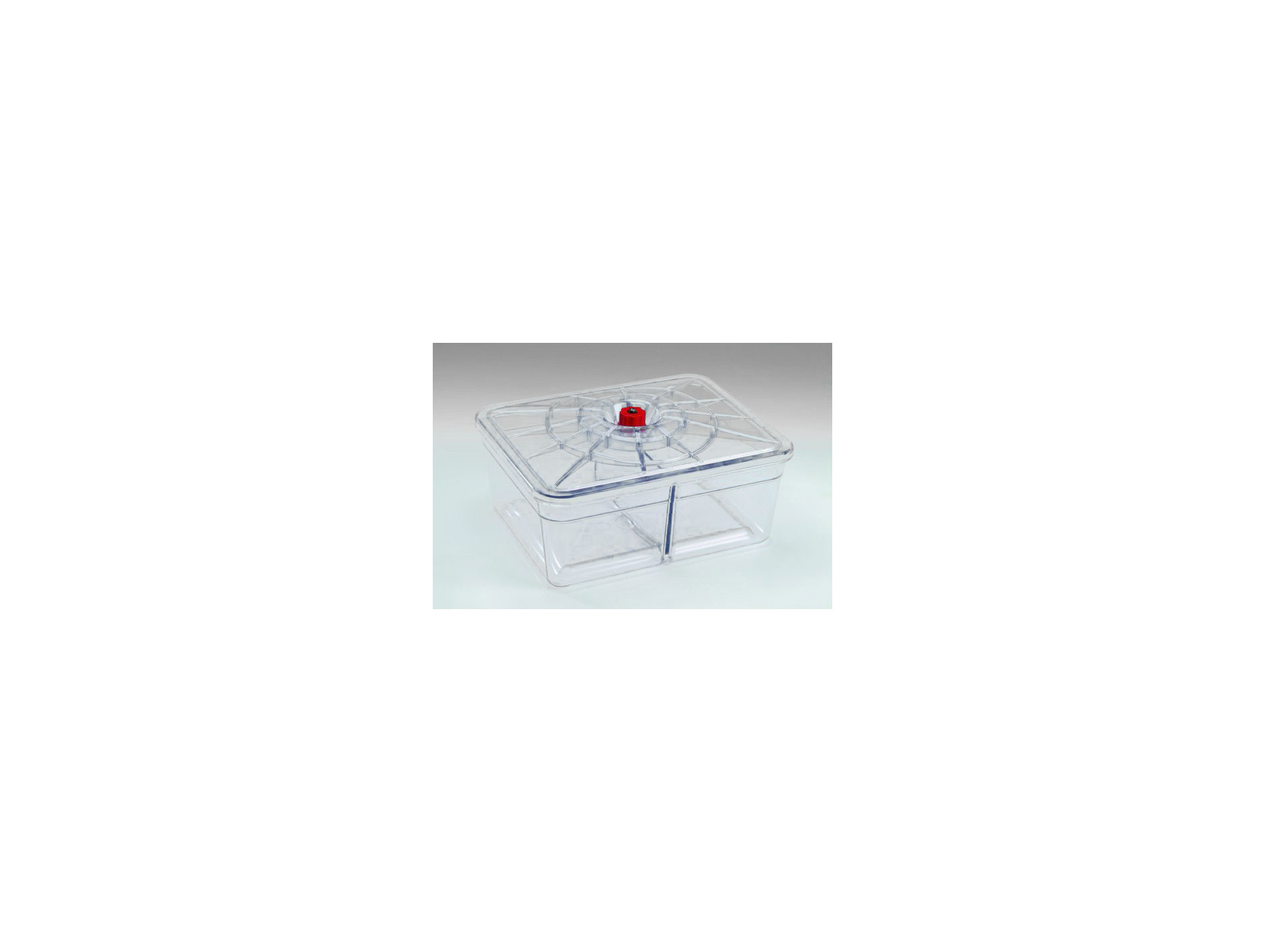 Plat rectangle REBER 2 compartiments 20x25