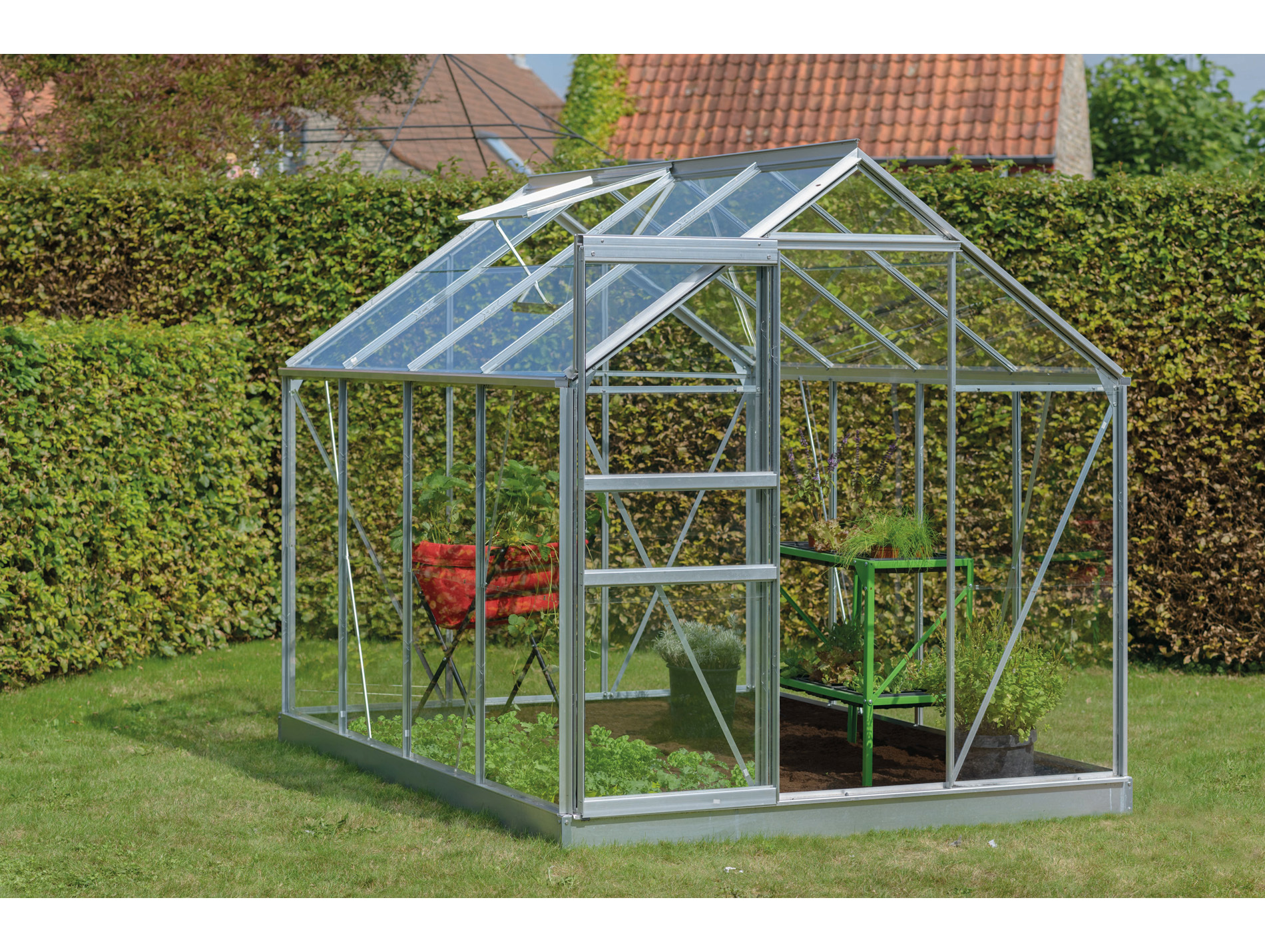 Serre ACD Introgrow Ivy 5m²