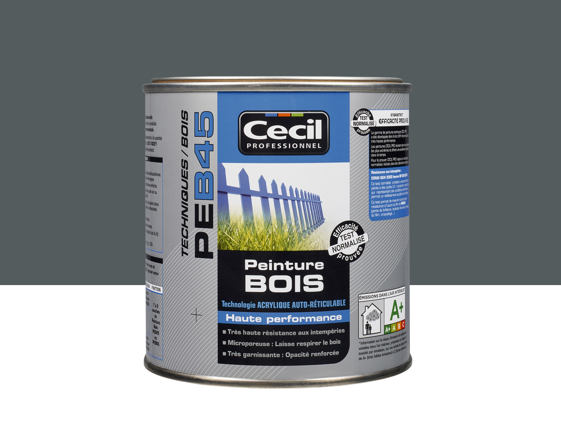 Peinture bois exterieur CECILPRO Satin Anthracite 0,5L