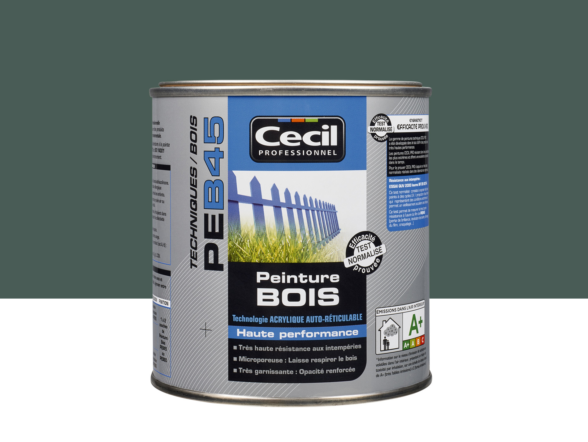 Peinture bois exterieur CECILPRO Satin Vert Normand 0,5L