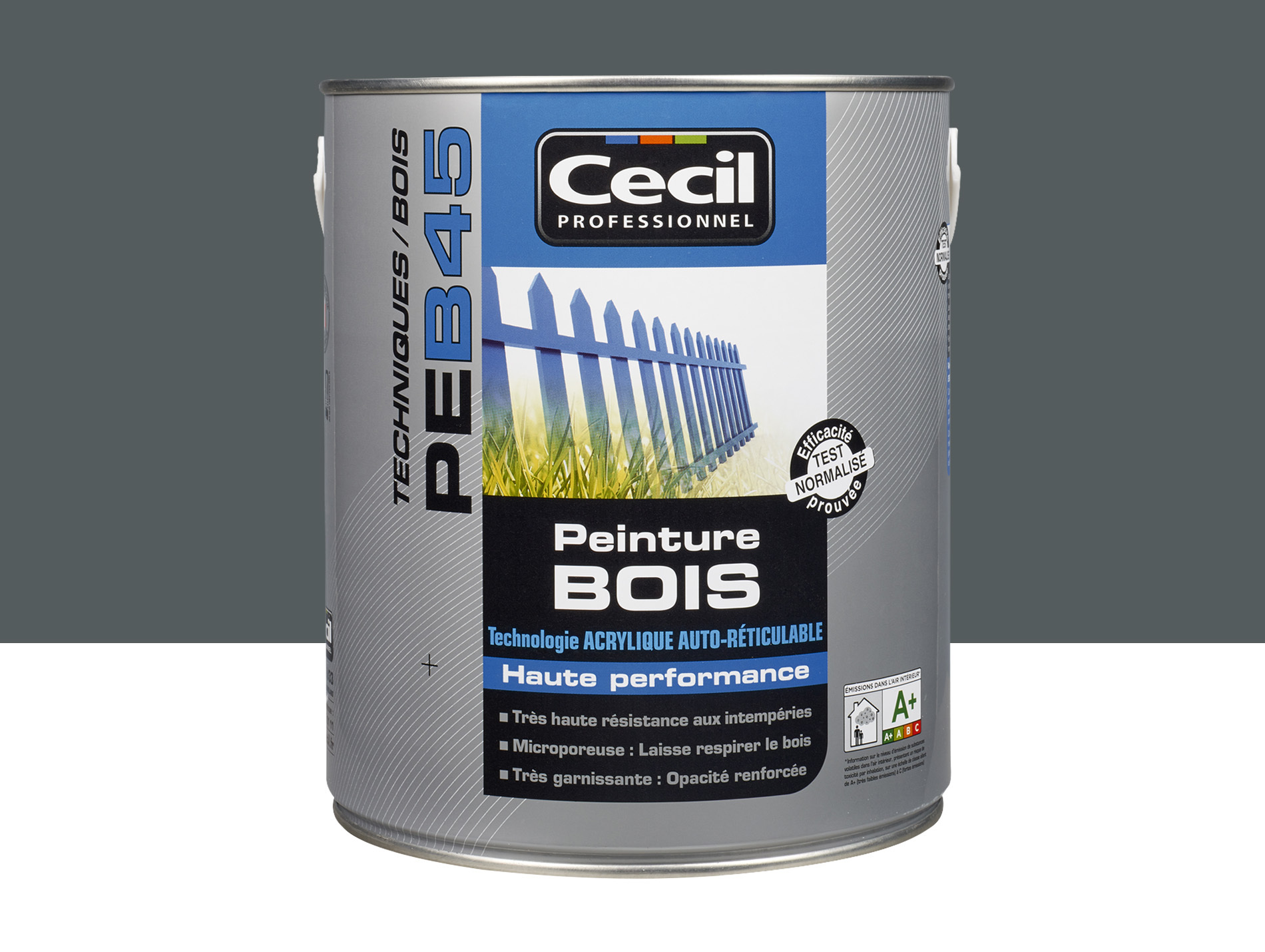 Peinture bois exterieur CECILPRO Satin Anthracite 2,5L