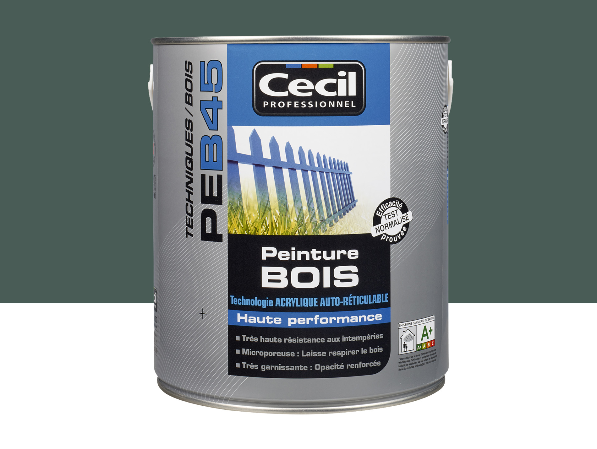 Peinture bois exterieur CECILPRO Satin Vert Normand 2,5L