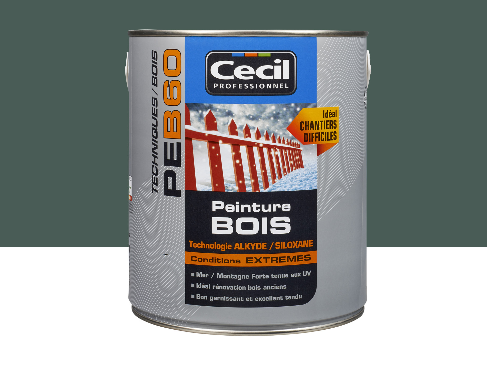 Peinture bois exterieur CECILPRO Satin Brun foncé 2,5L