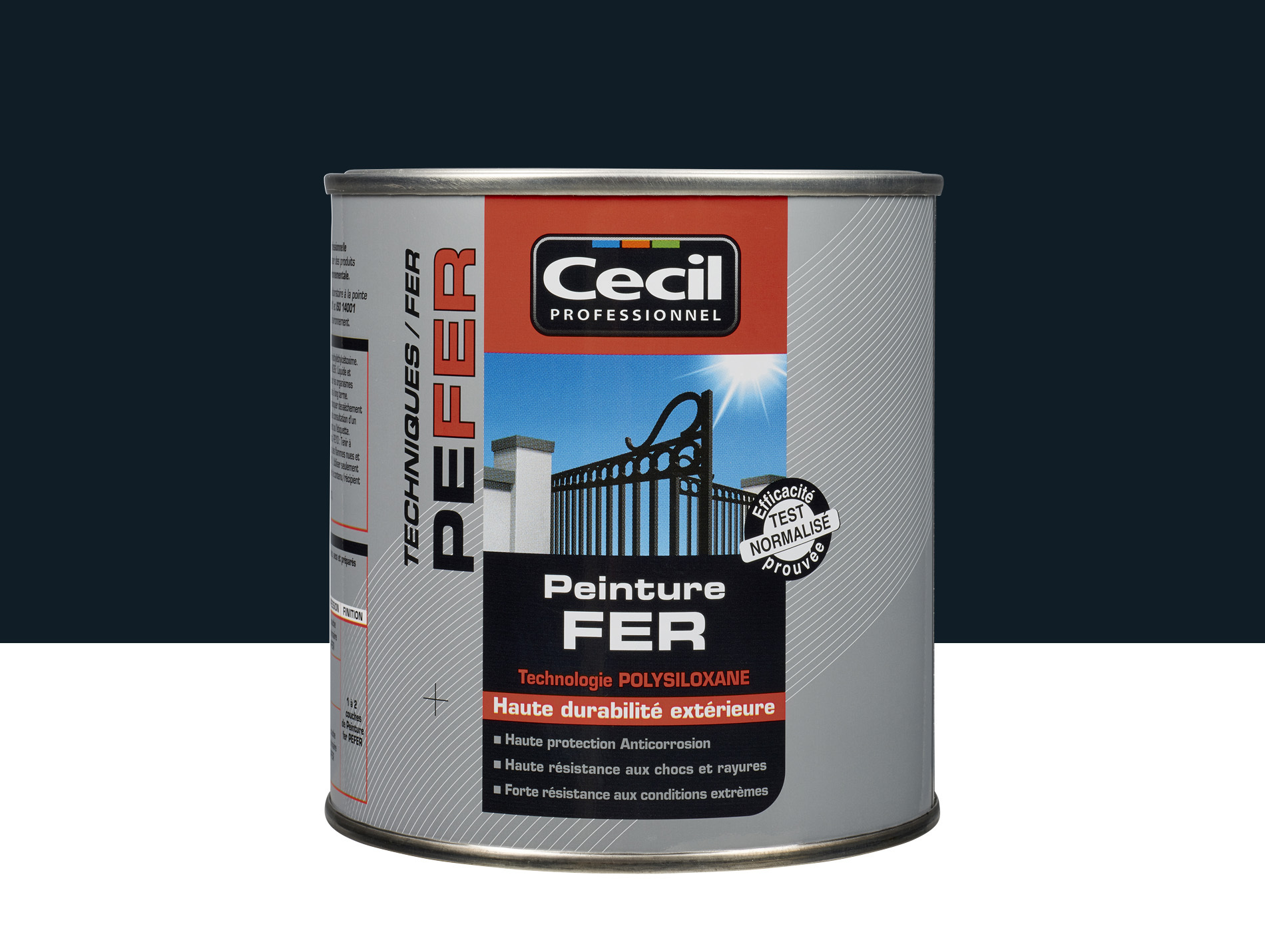 Peinture extérieure fer CECIL PRO Noir Brillant 0,5L