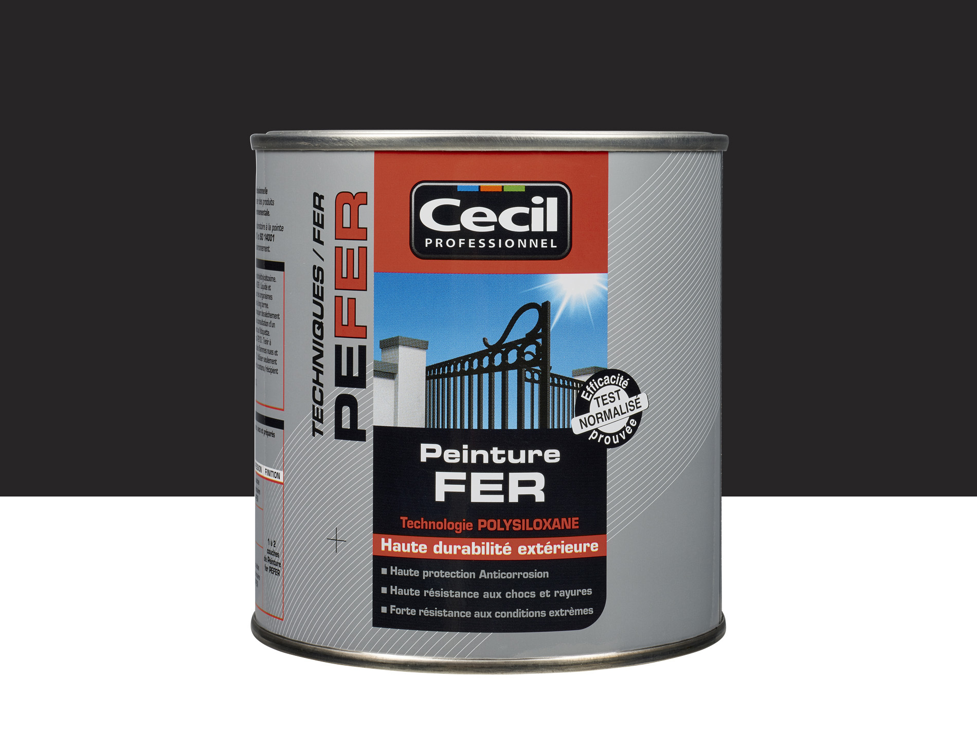 Peinture extérieure fer CECIL PRO Noir Mat 0,5L