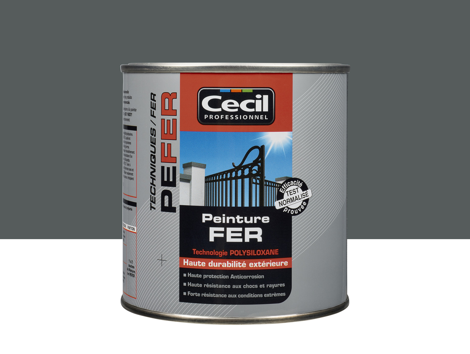 Peinture extérieure fer CECIL PRO Anthracite 0,5L