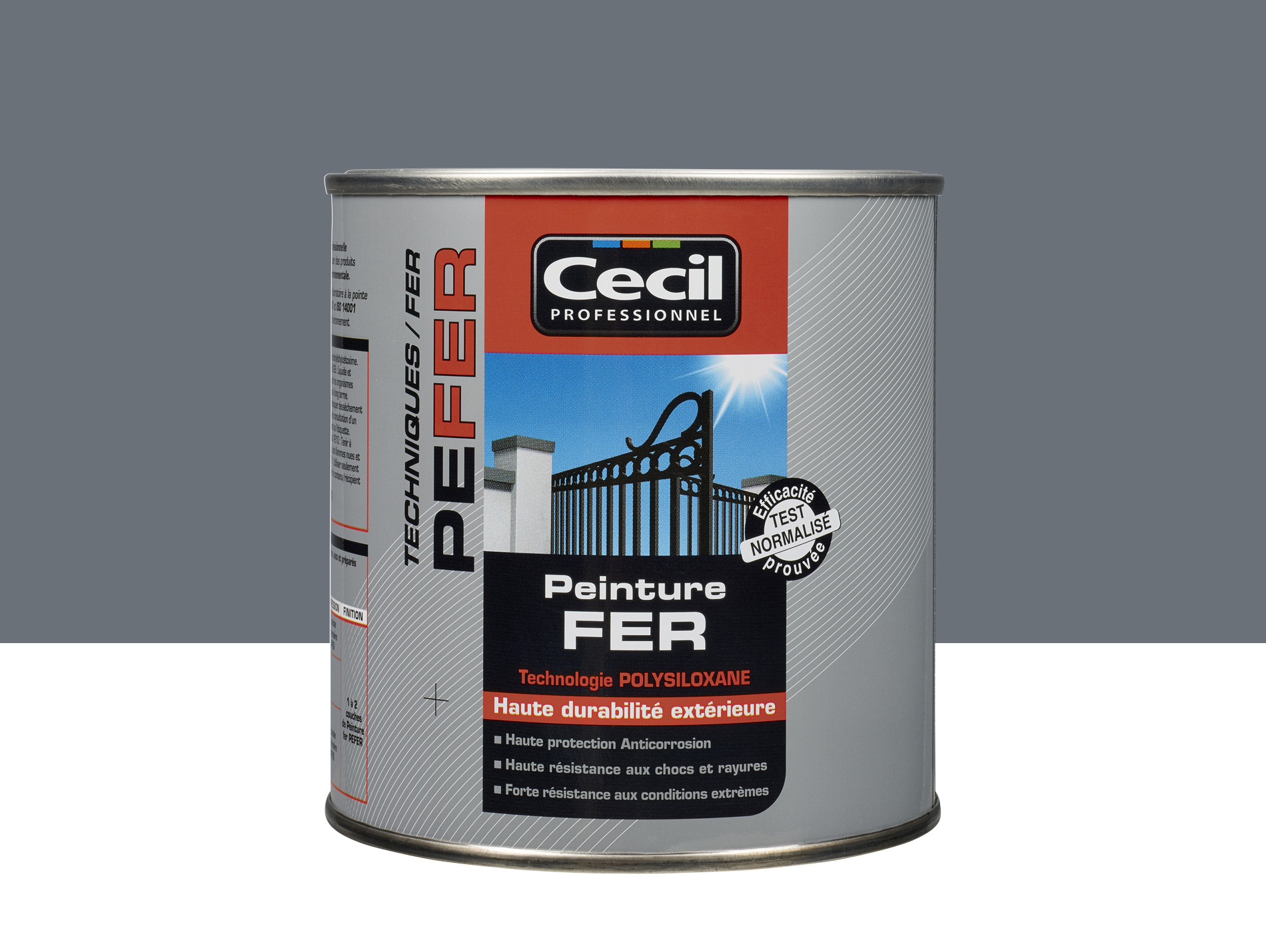 Peinture extérieure fer CECIL PRO Gris Martelé 0,5L