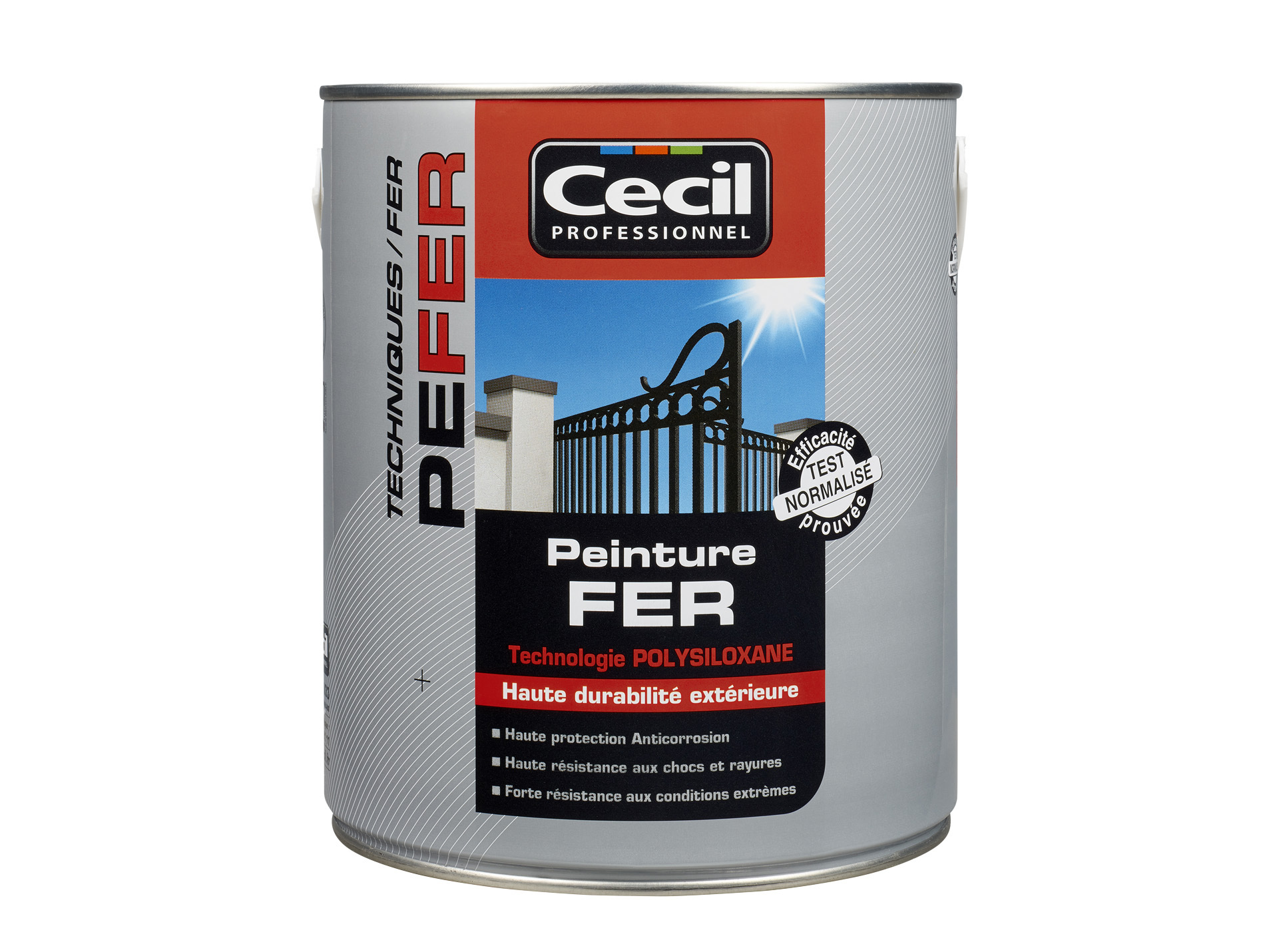 Peinture extérieure fer CECIL PRO Blanc 2,5L