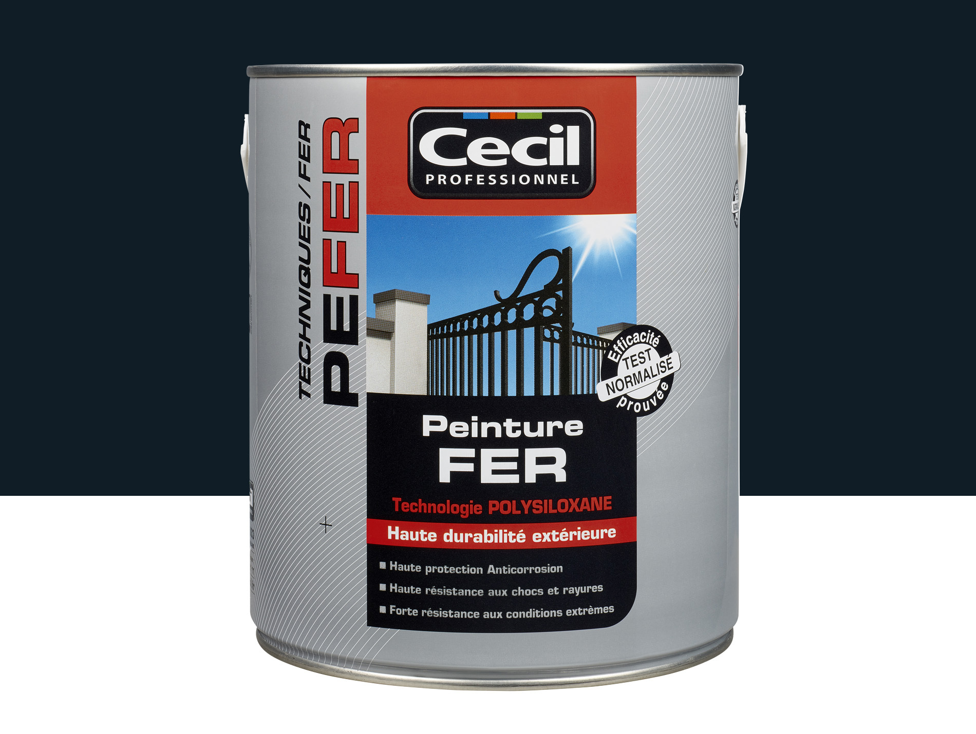Peinture extérieure fer CECIL PRO Noir Brillant 2,5L