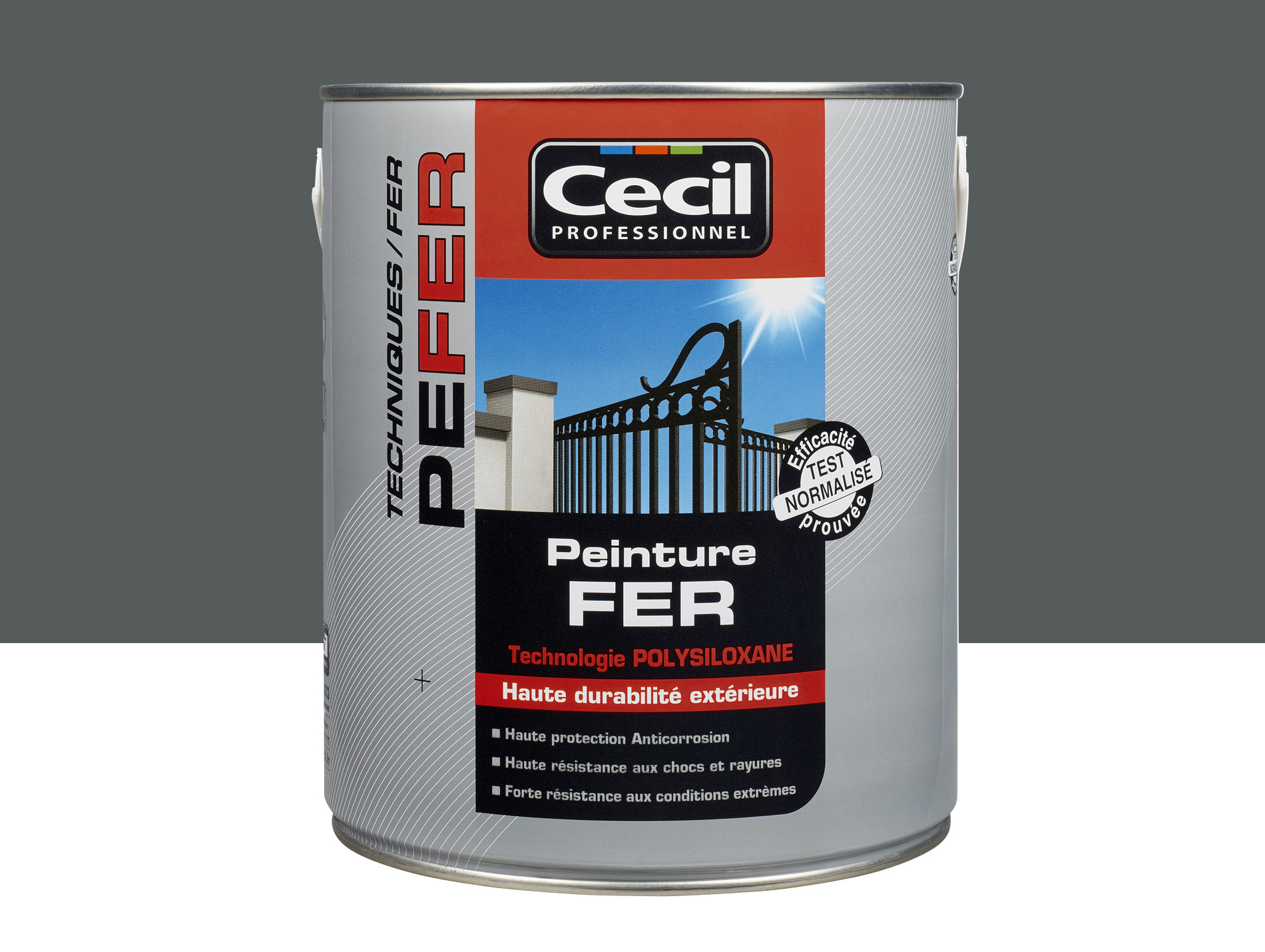 Peinture extérieure fer CECIL PRO Anthracite 2,5L
