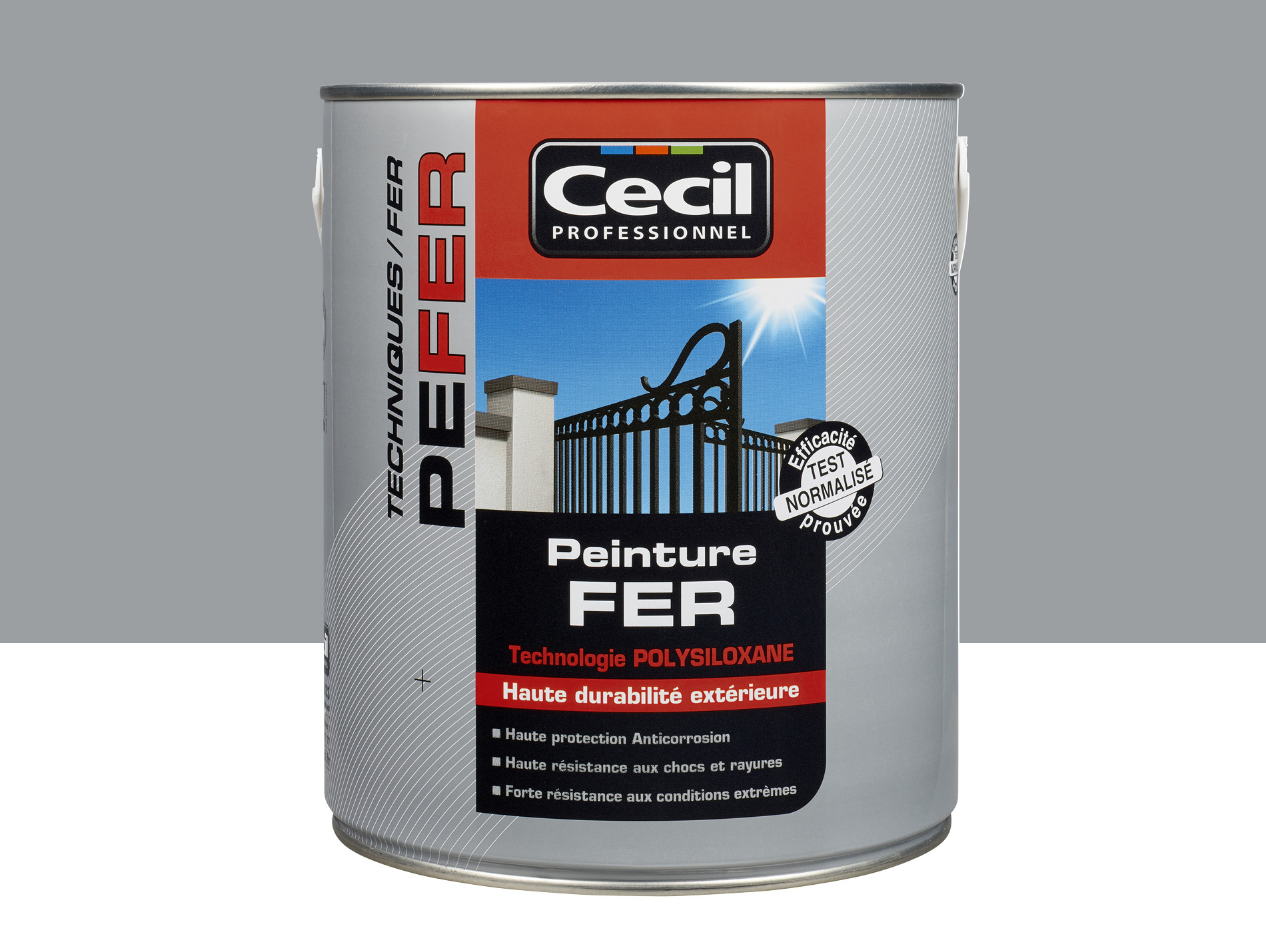 Peinture extérieure fer CECIL PRO Gris Galet 2,5L