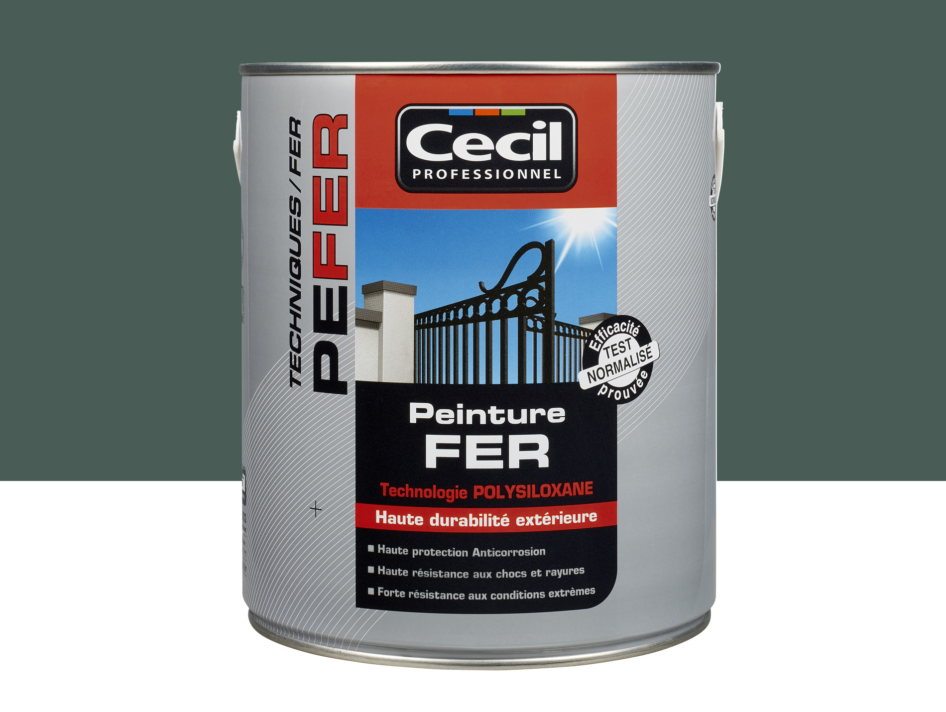 Peinture extérieure fer CECIL PRO Vert Normand 2,5L