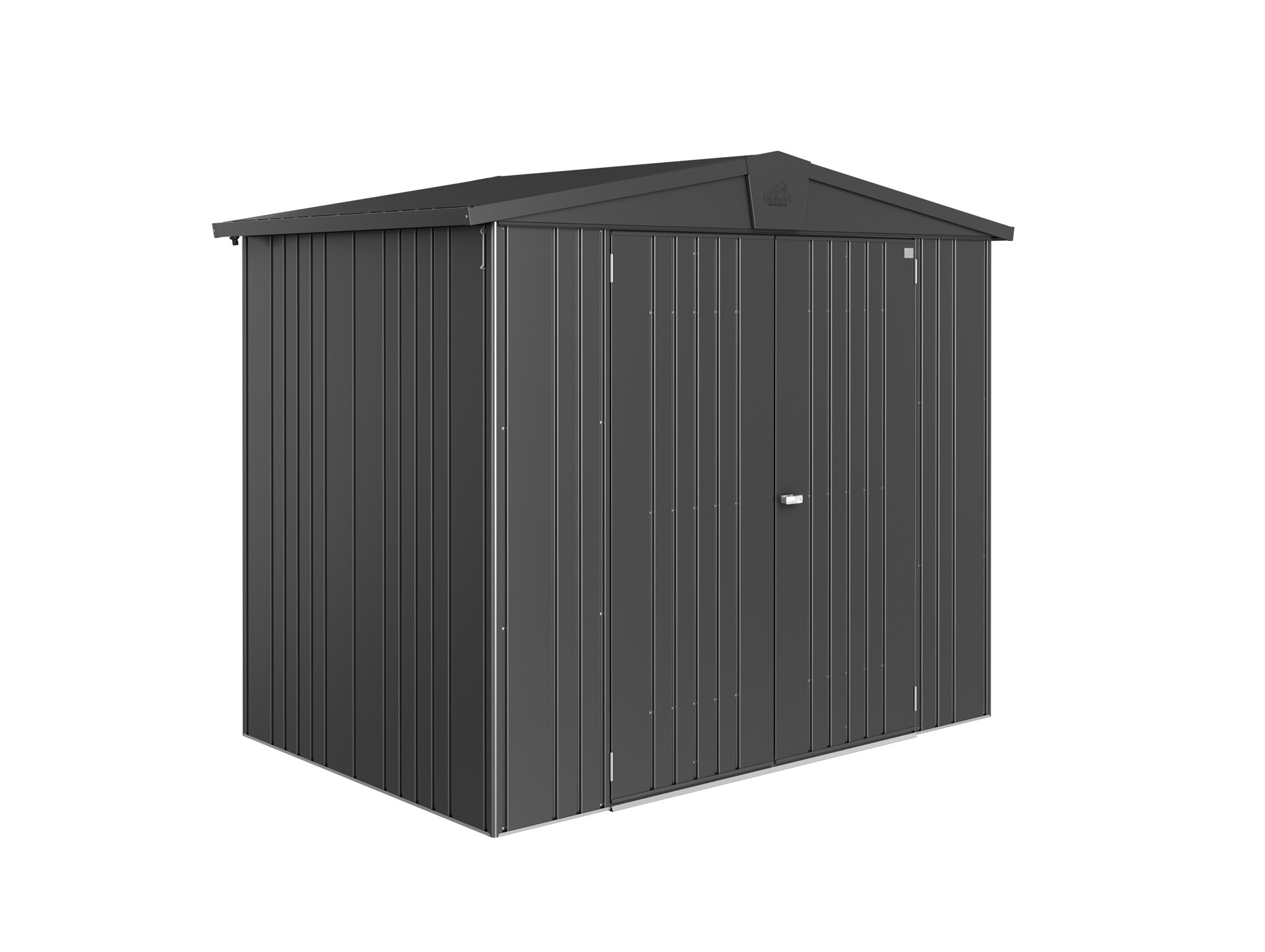 Abri jardin métal BIOHORT Europa 3,81m² gris foncé 2 portes