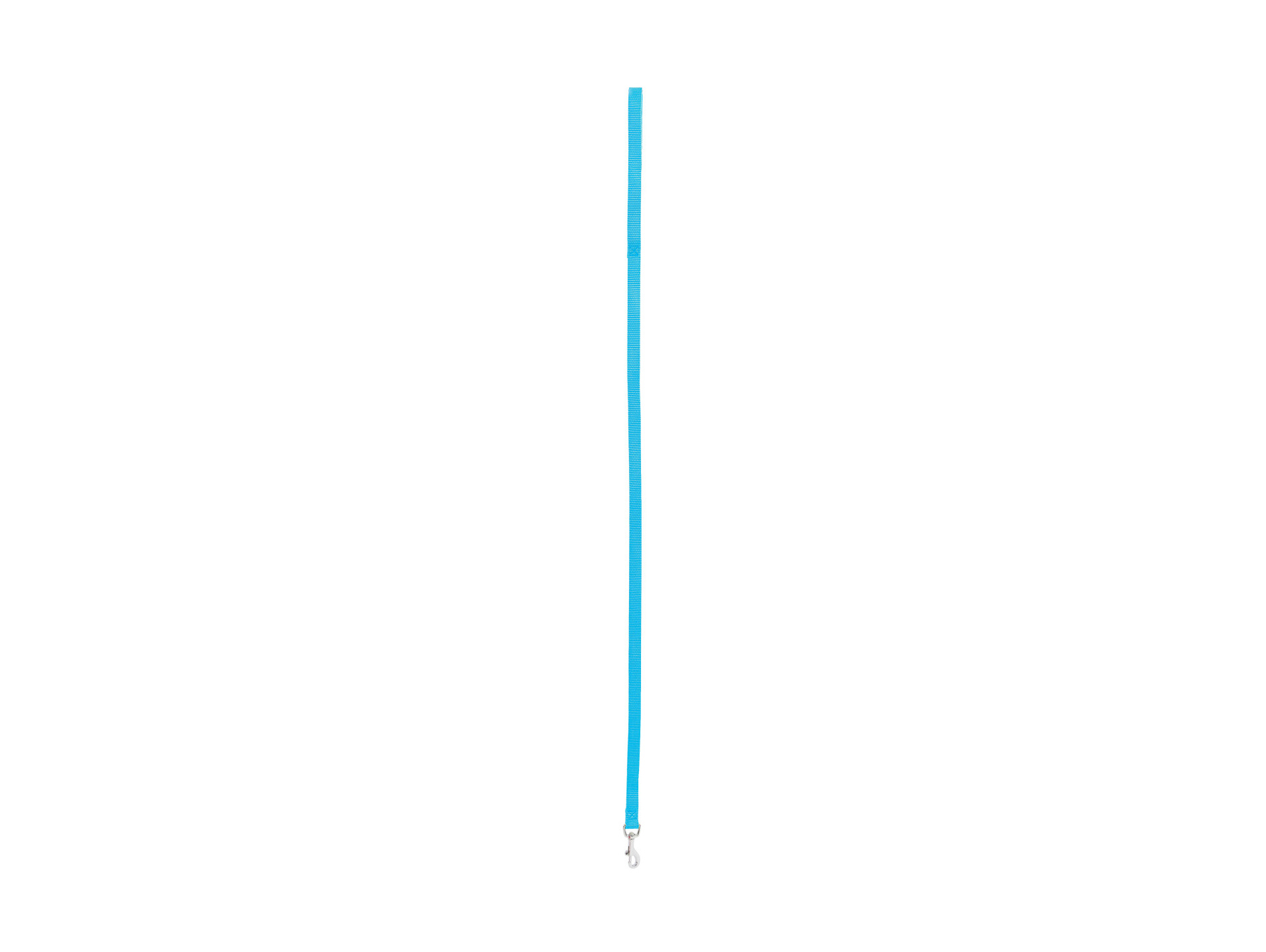 Laisse nylon ZOLUX L.1m l.20mm turquoise