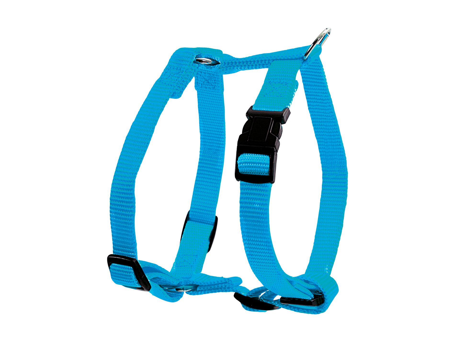 Harnais pour chien réglable nylon 25mm turquoise
