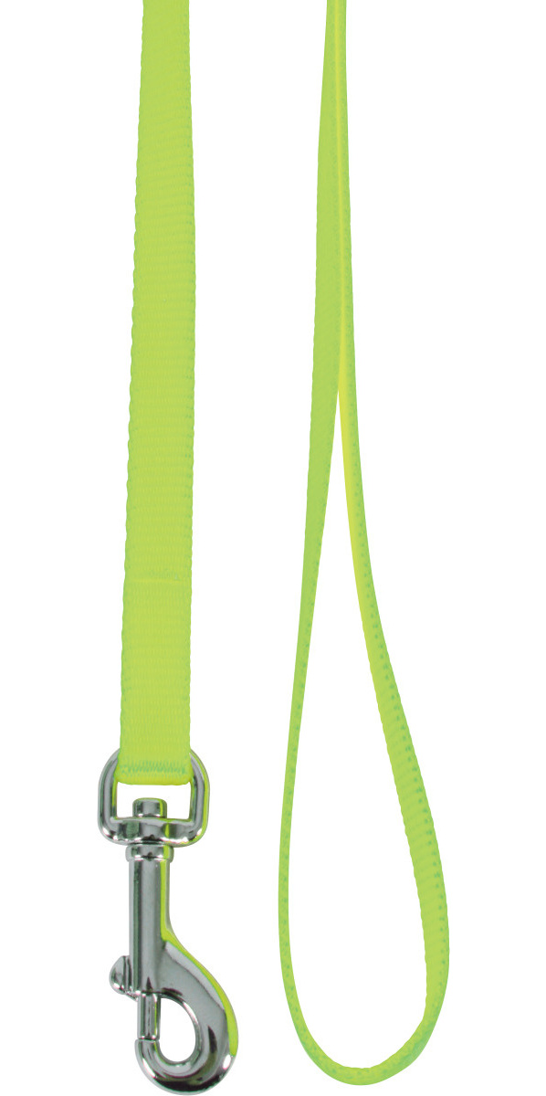 Laisse nylon pour chat anis