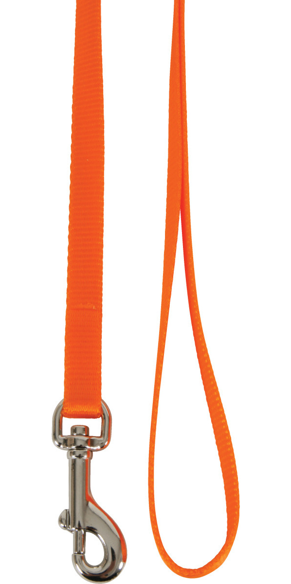 Laisse nylon pour chat orange