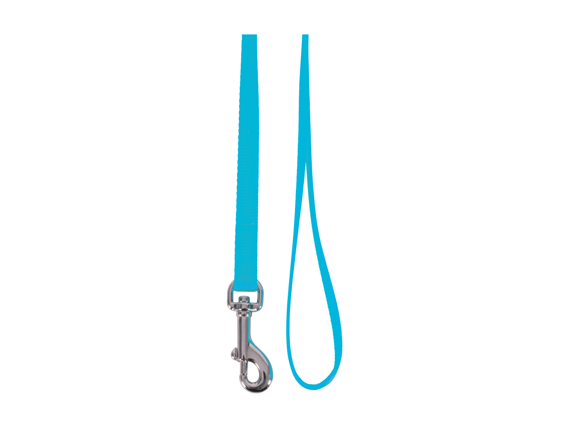 Laisse nylon pour chat turquoise