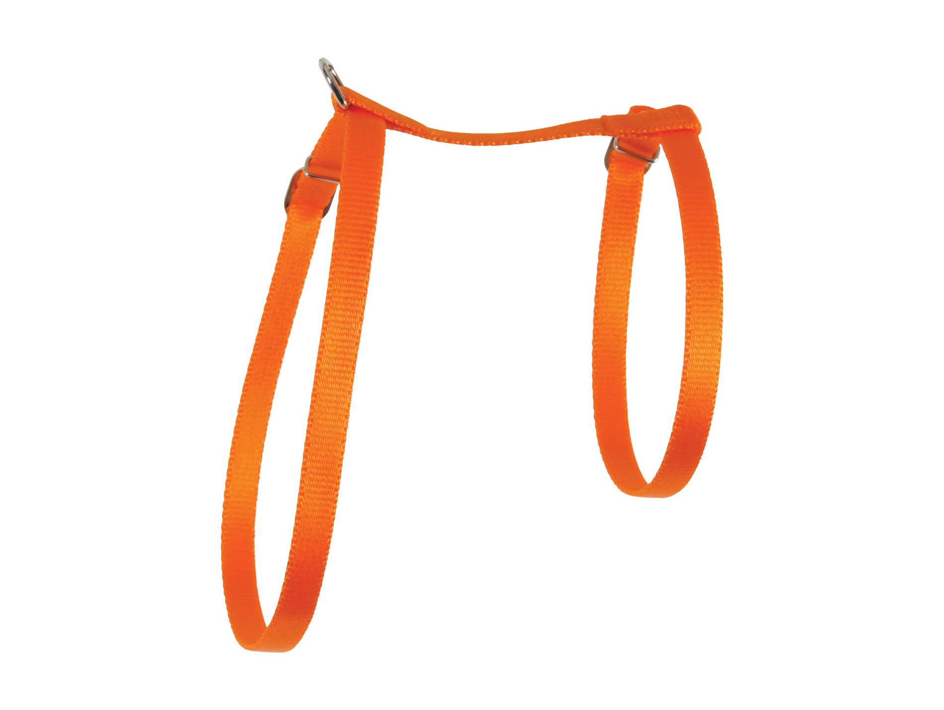 Harnais pour chat en nylon orange