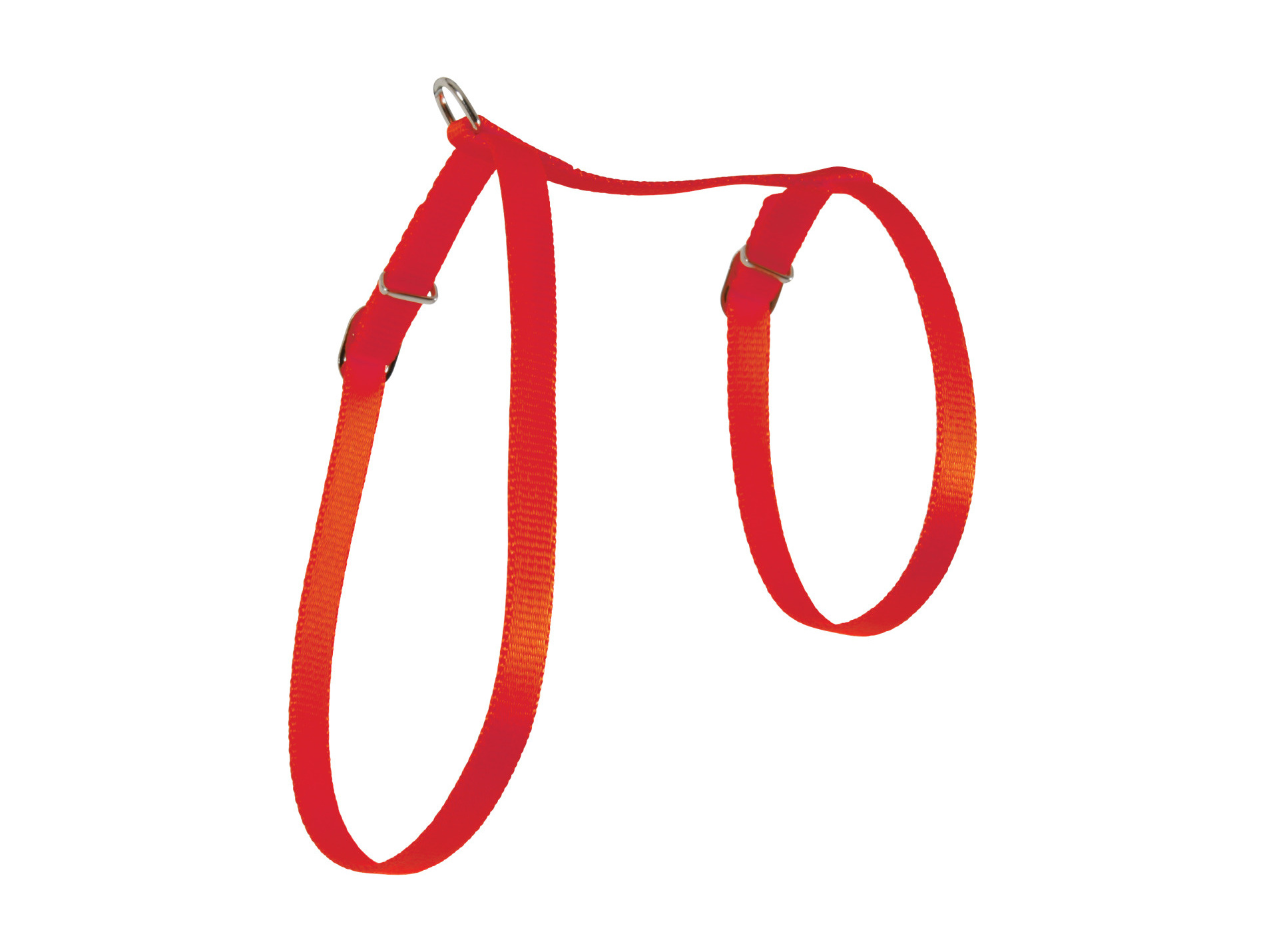 Harnais pour chat en nylon rouge