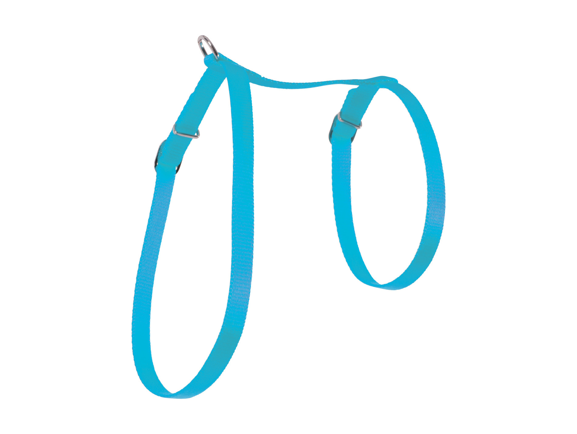 Harnais pour chat en nylon turquoise
