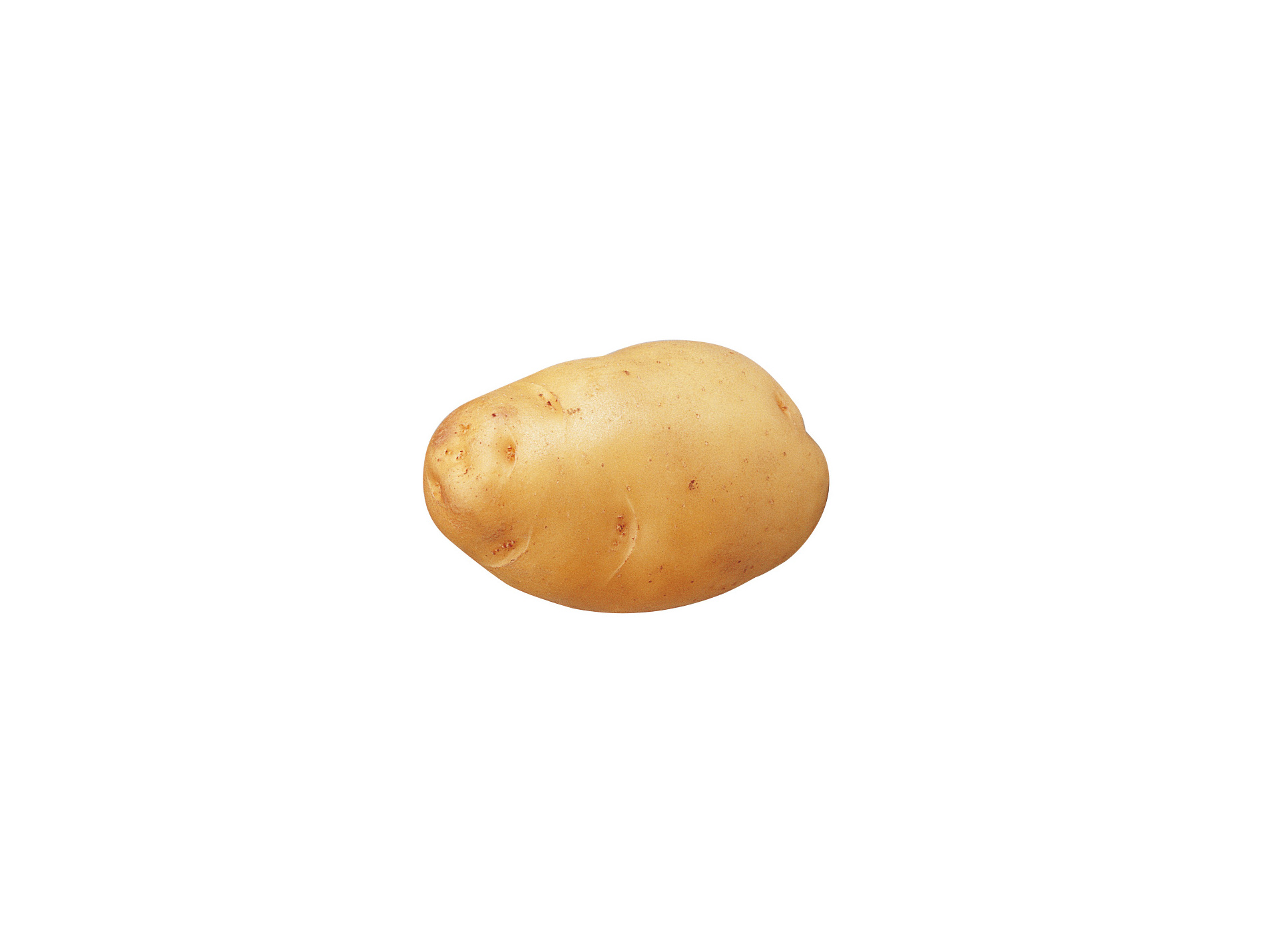 Plants de pommes de terre Bintje 35/45 3kg