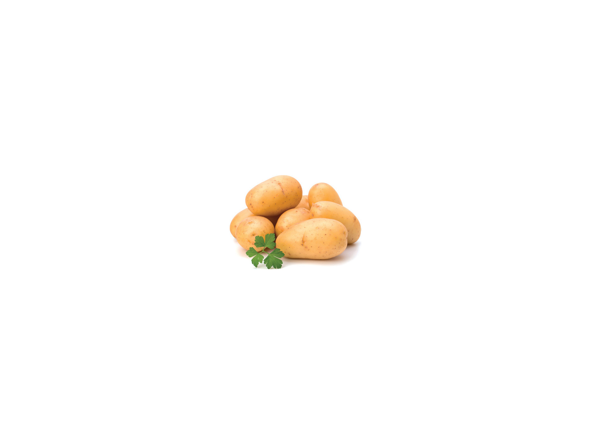 Plants de pommes de terre Emeraude 25/40 1,5kg + 500g OFFERTS