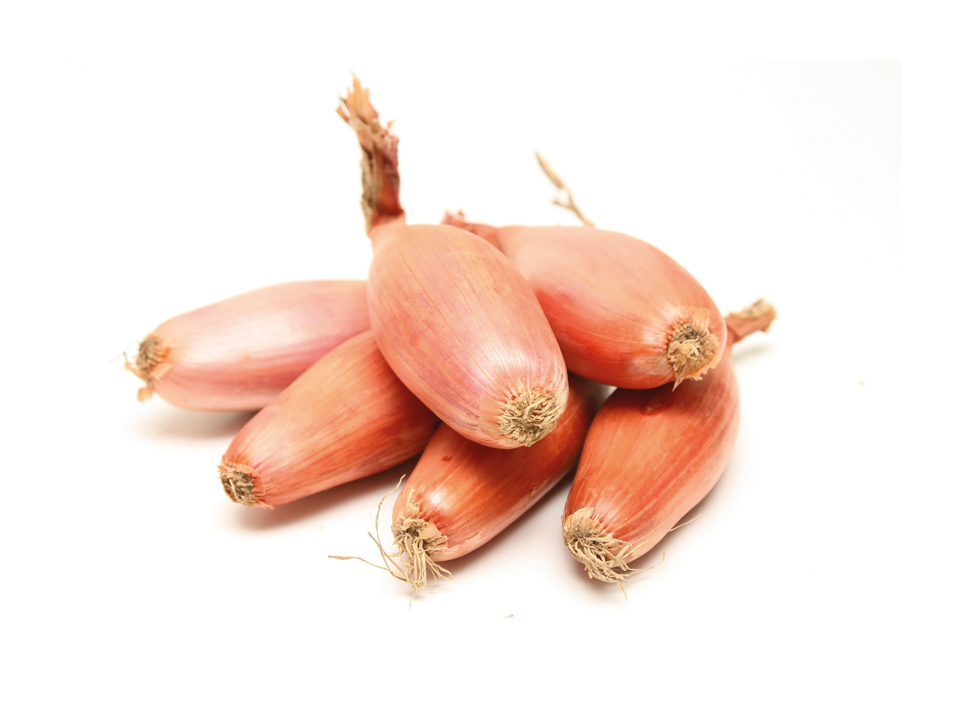 Bulbes echalote Vigarmor 250g