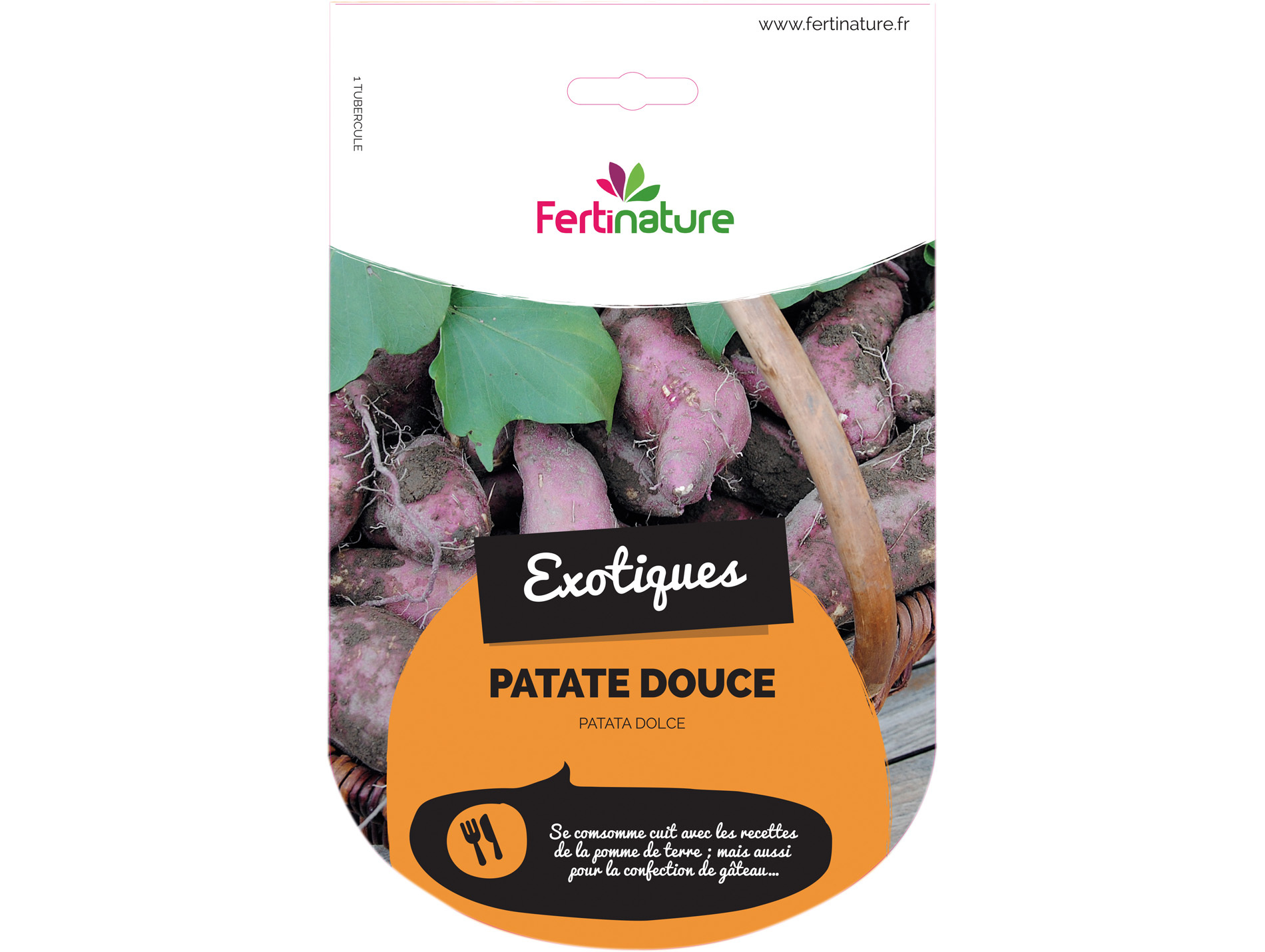 Plant de patate douce Chromo de 1 plant