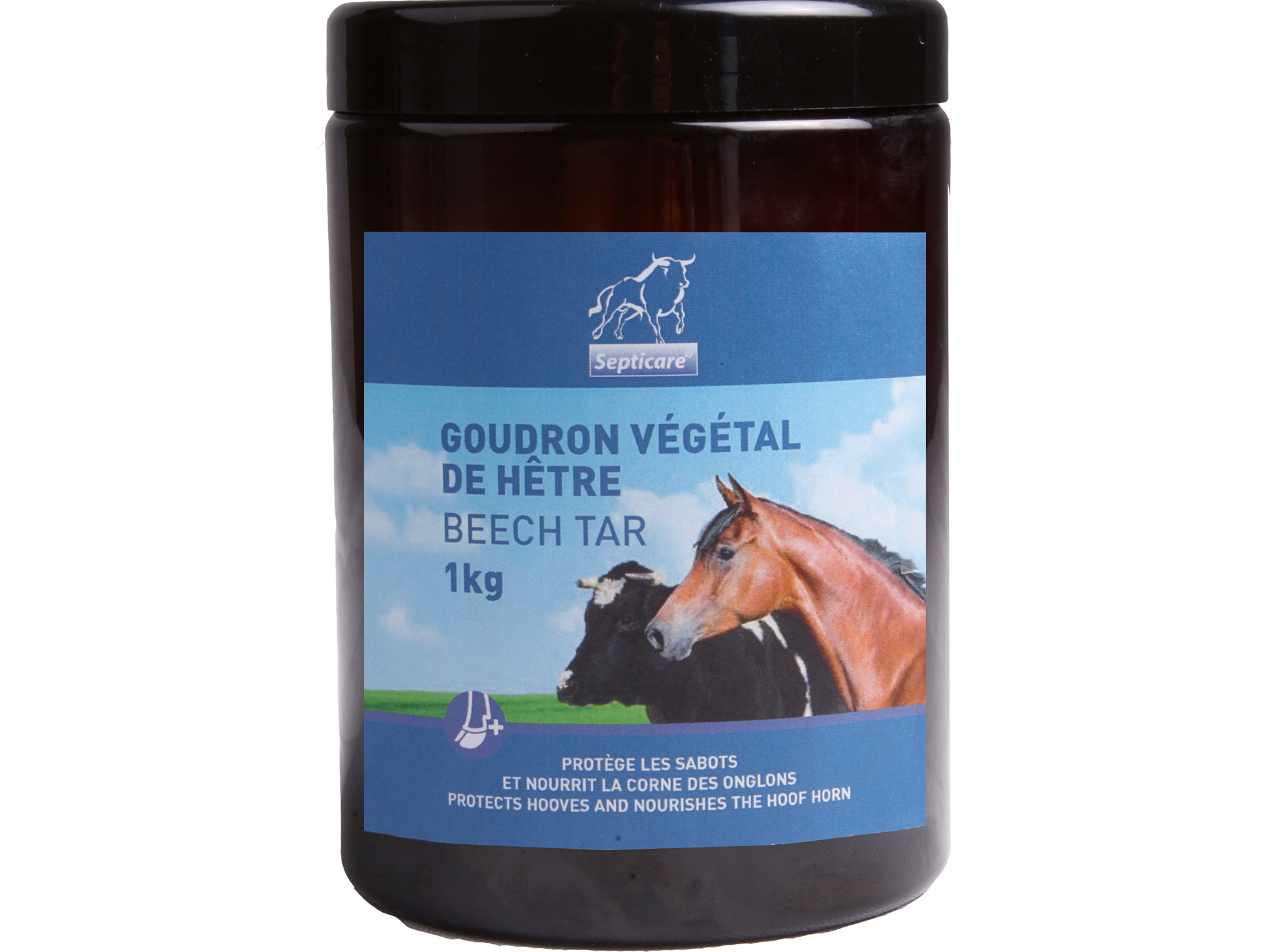 Goudron hêtre SEPTICARE végétal 1kg