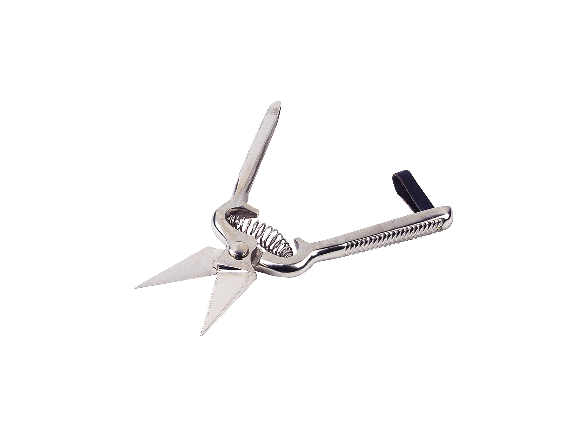 Cisaille onglons KAMER ovin crantée 6cm