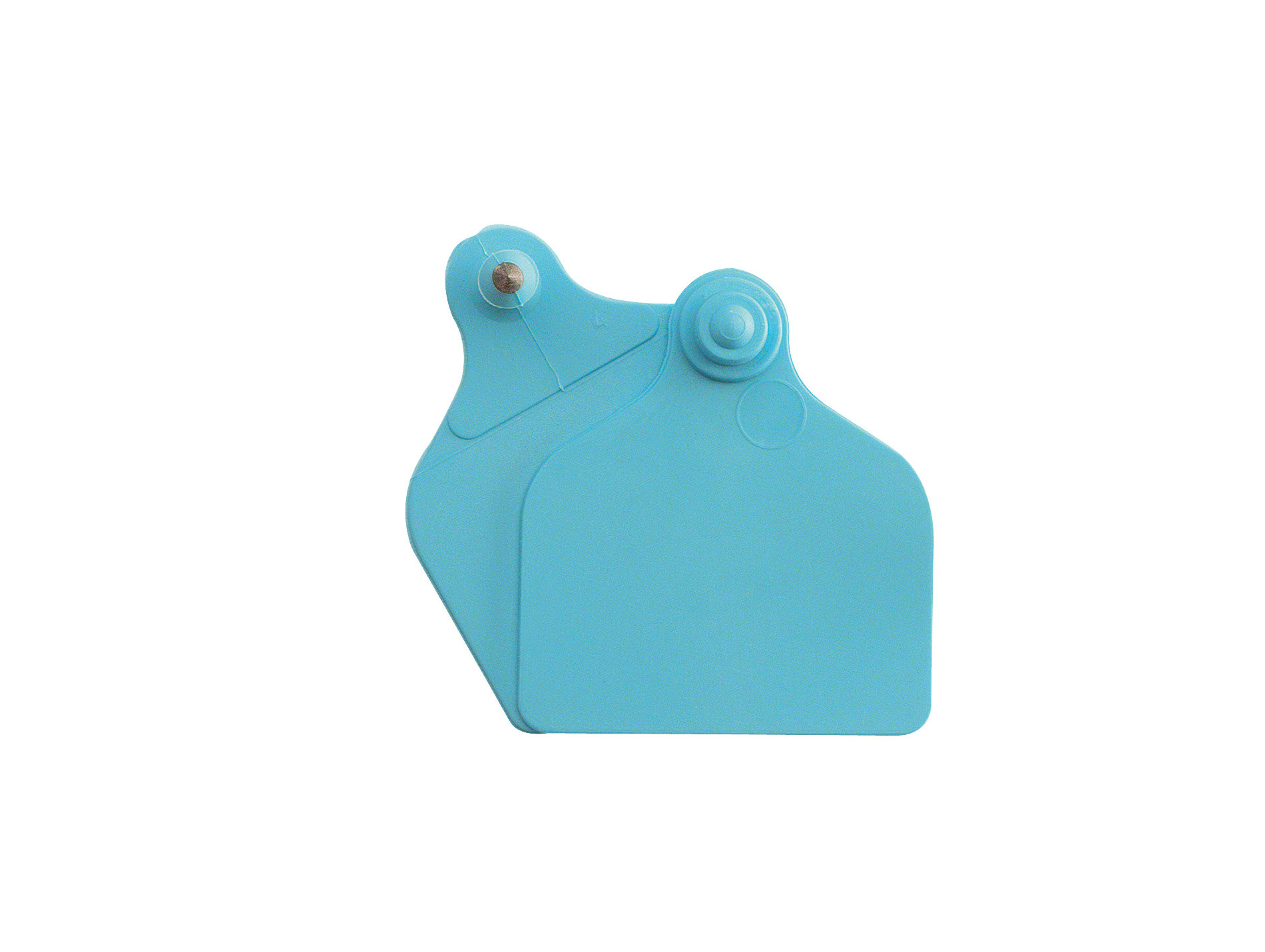 Boucles de marquage Ukal-Flex maxi + maxi nue bleue x20