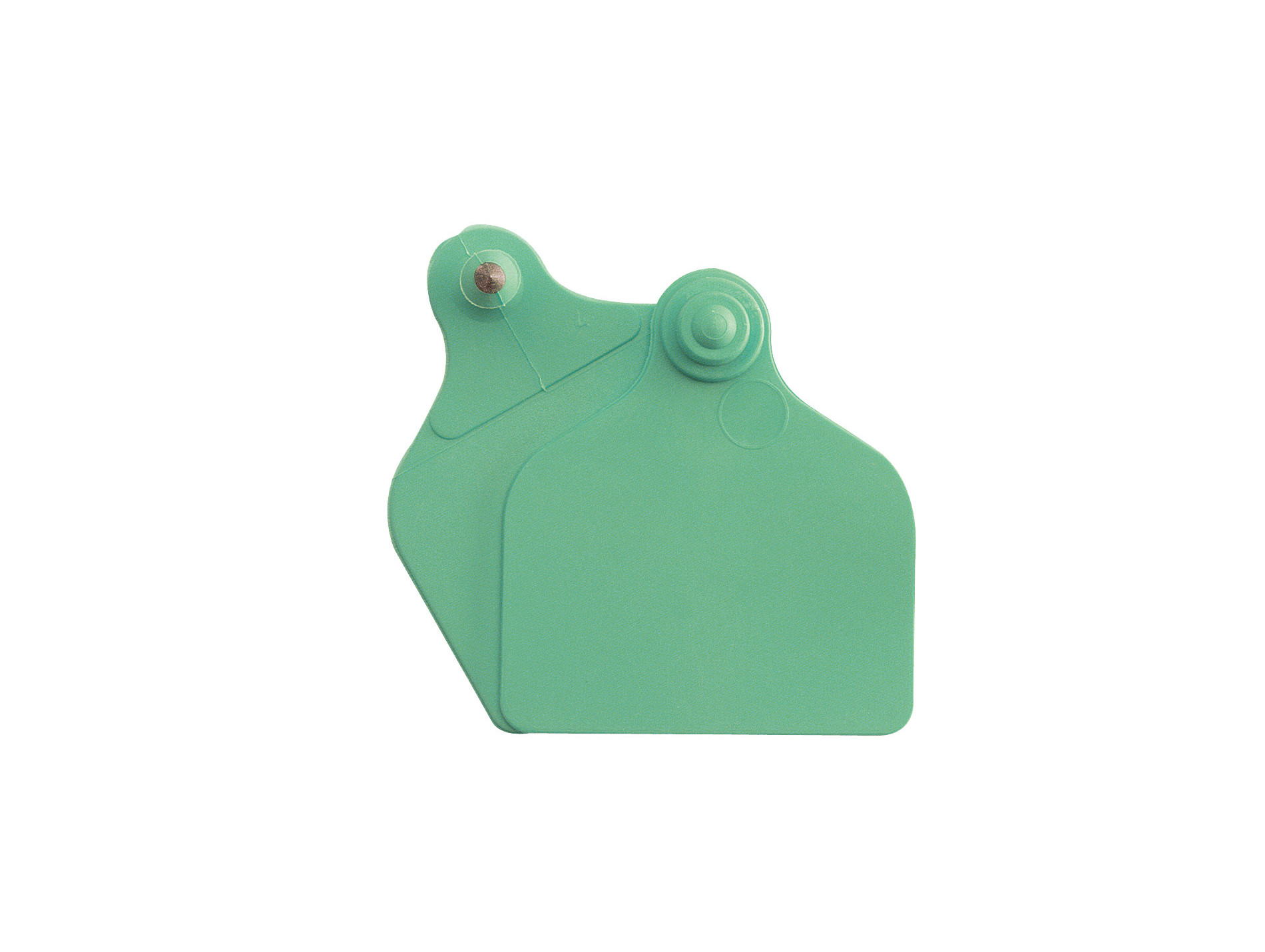 Boucles de marquage Ukal-Flex maxi + maxi nue vert x20