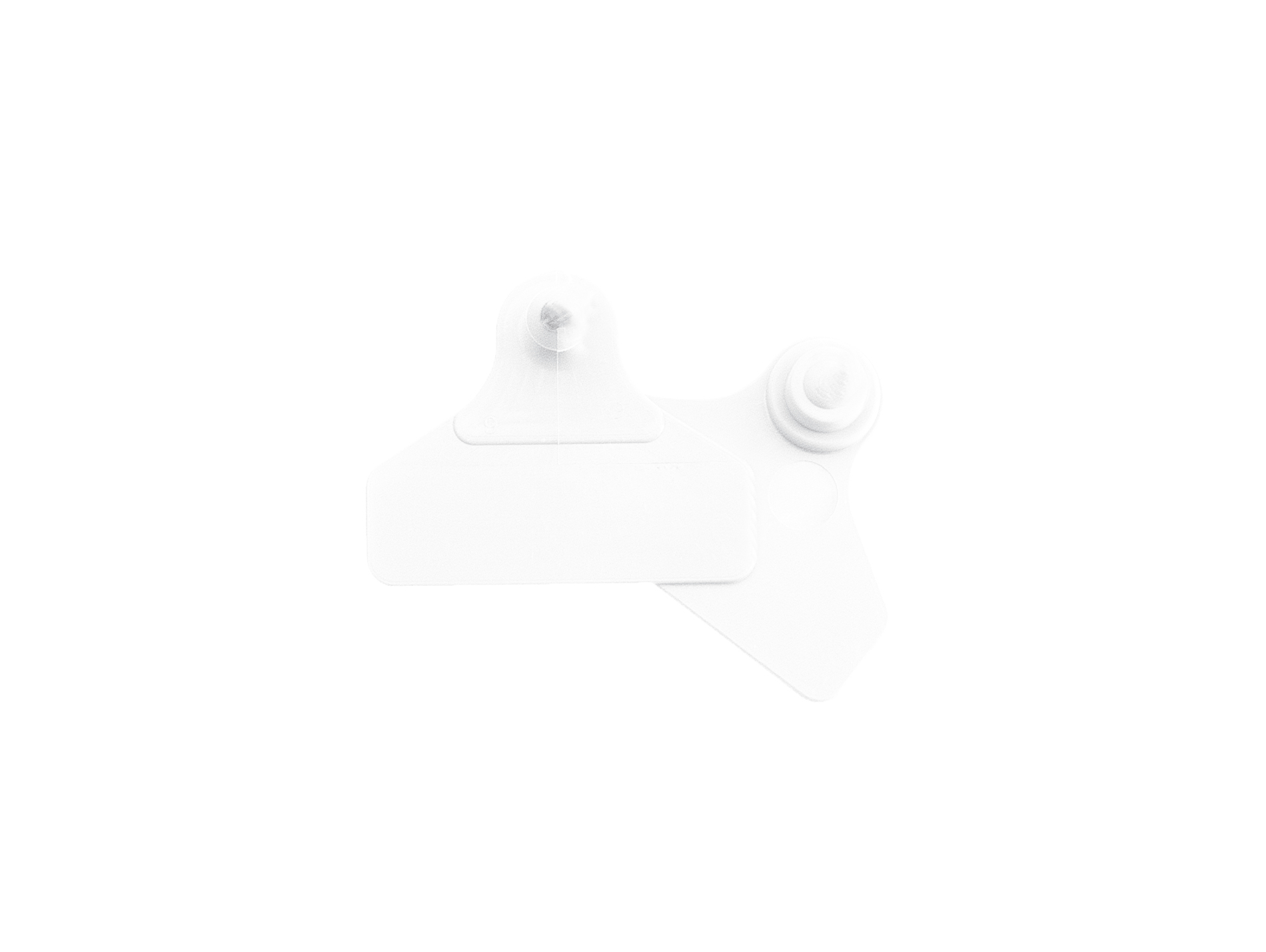 Boucle marquage UKAL flex large 45x55mm blanc x20