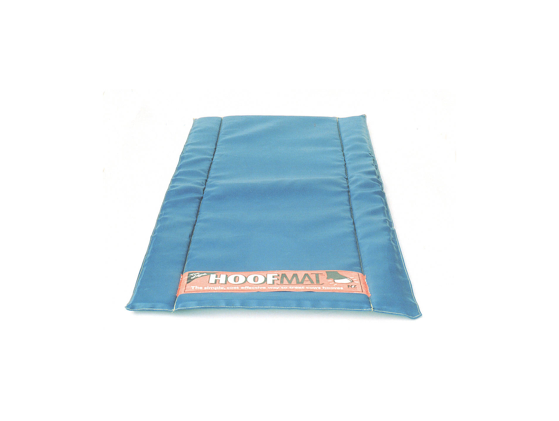Pédiluve bleu premium