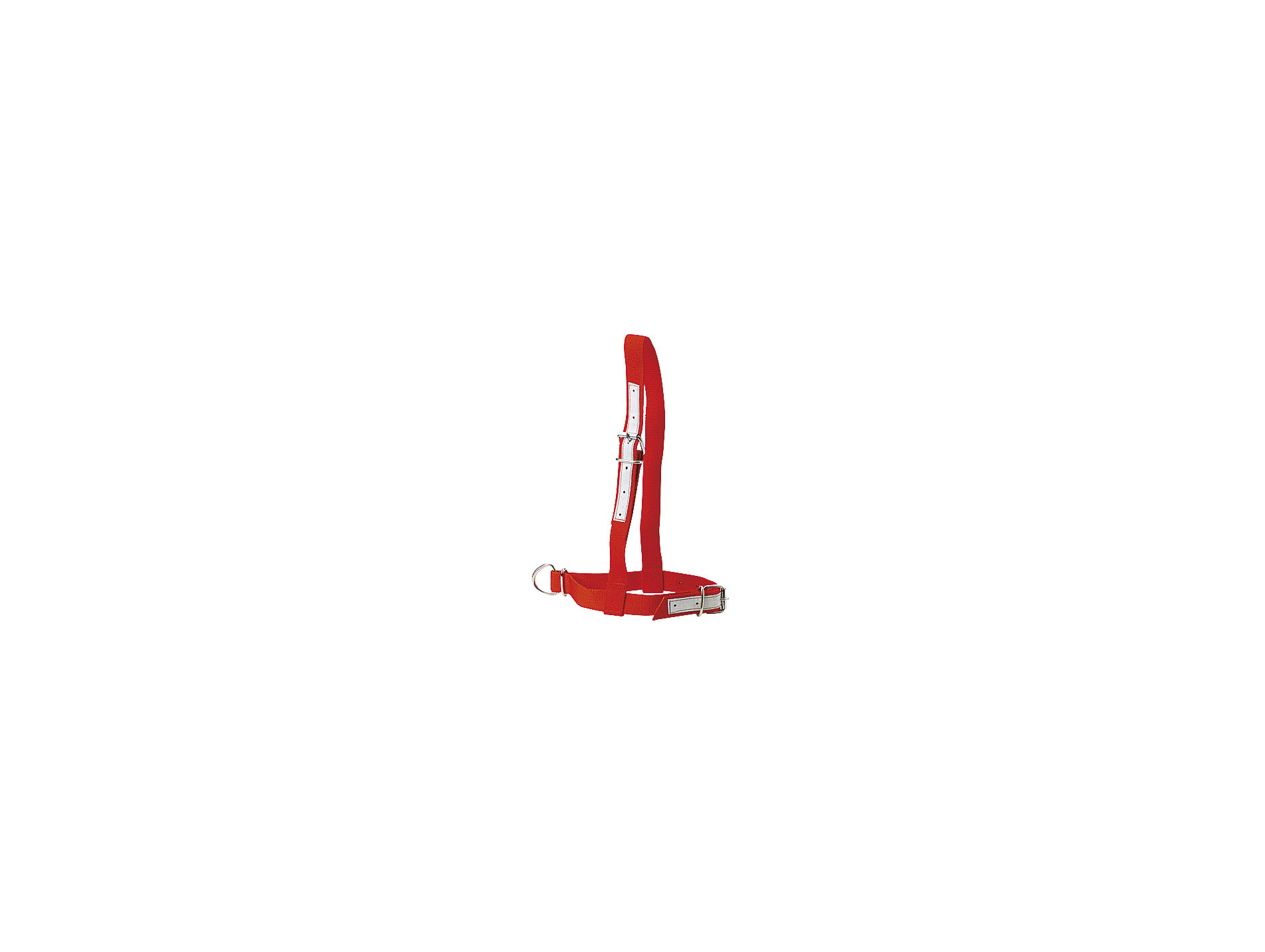 Licol KAMER bovin nylon rouge