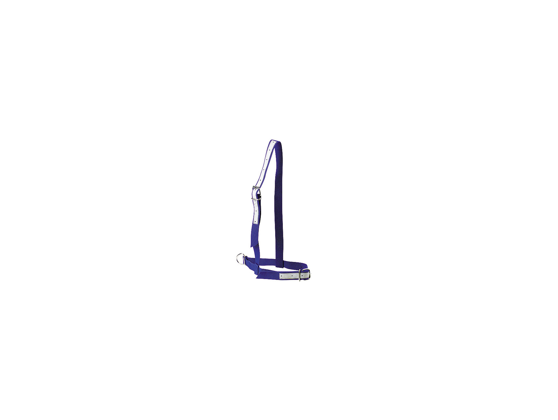 Licol KAMER bovin nylon bleu