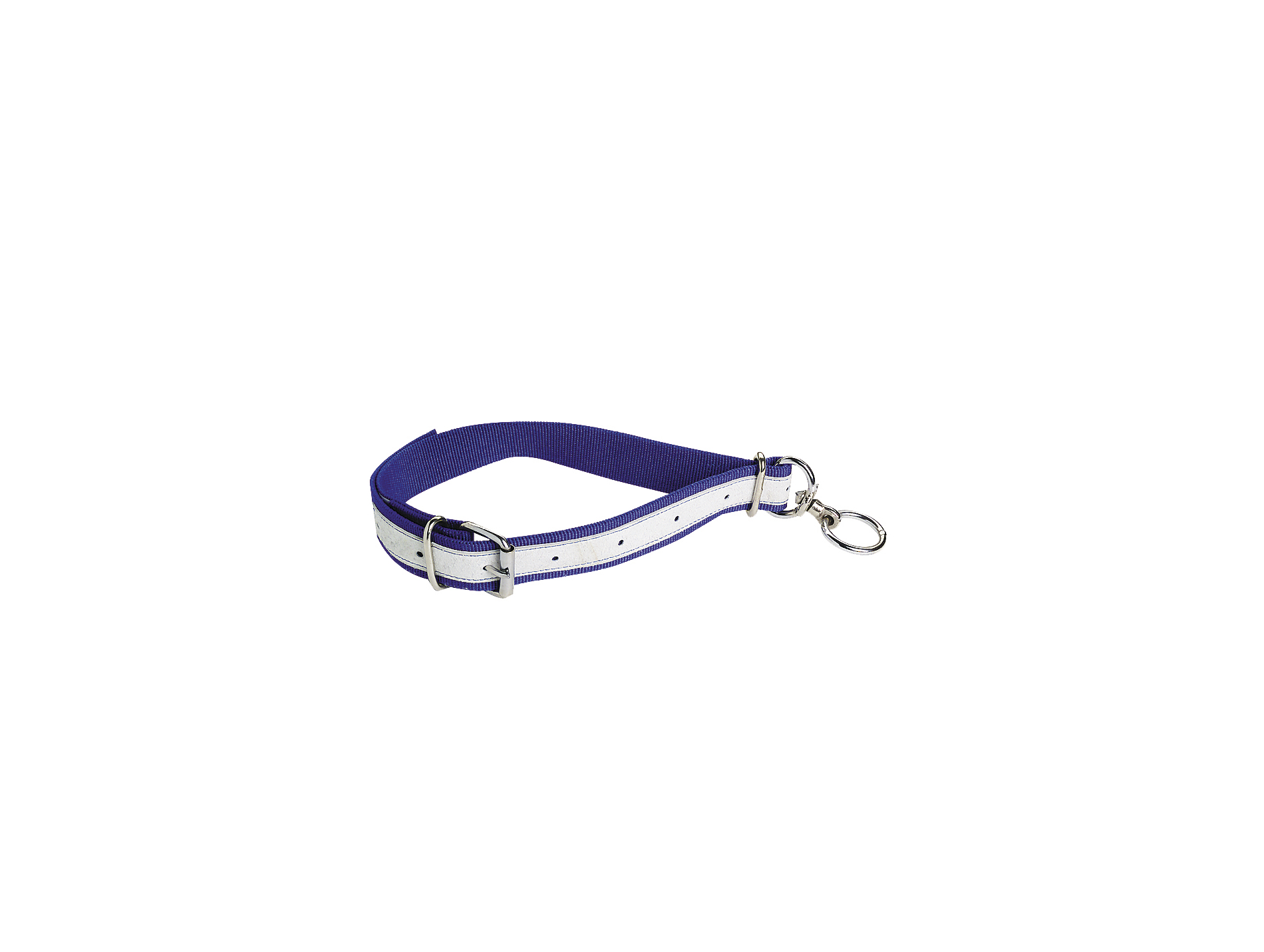 Collier nylon KAMER veau bleu + touret