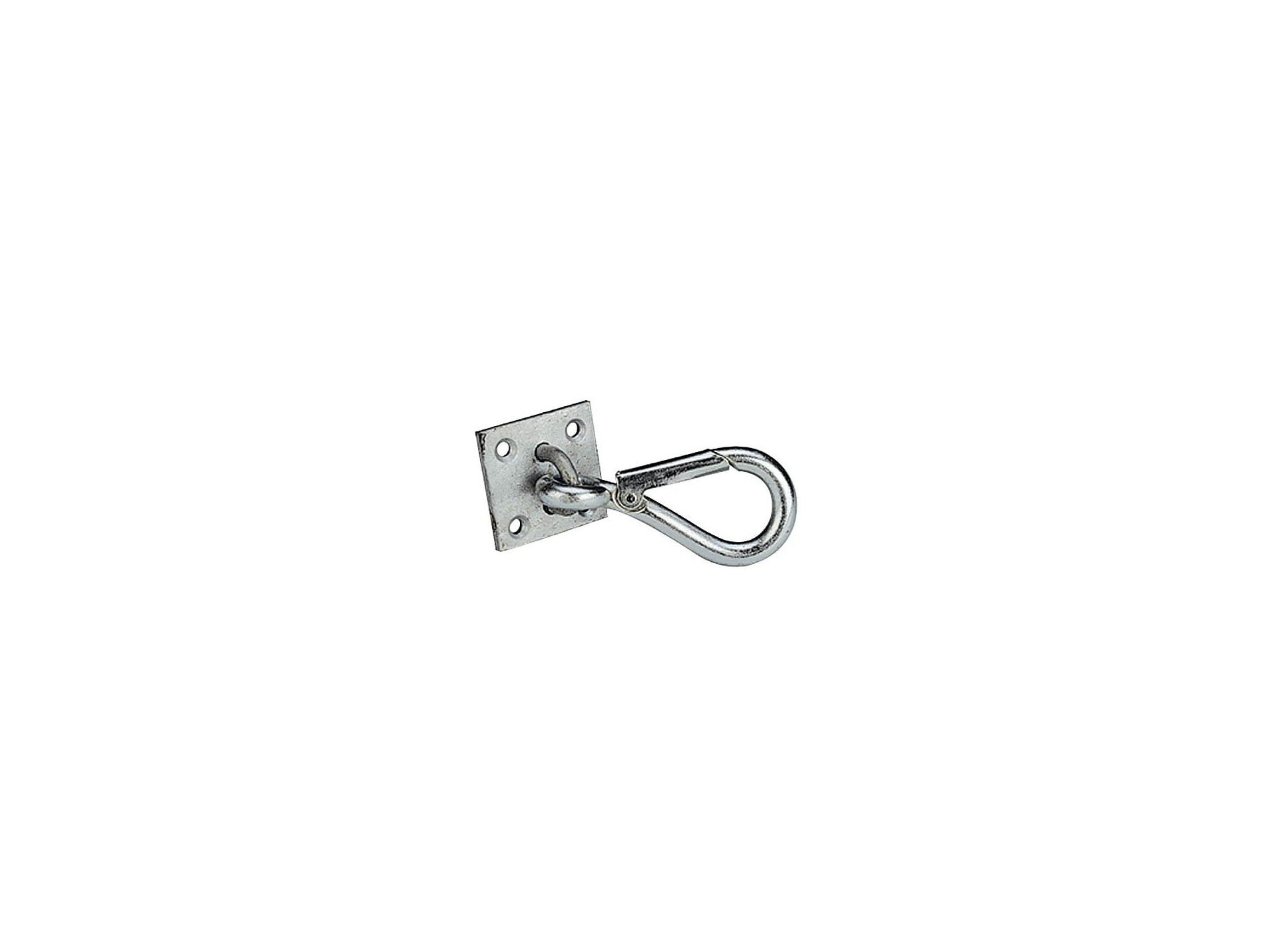 Plaque mousqueton pour fixation murale