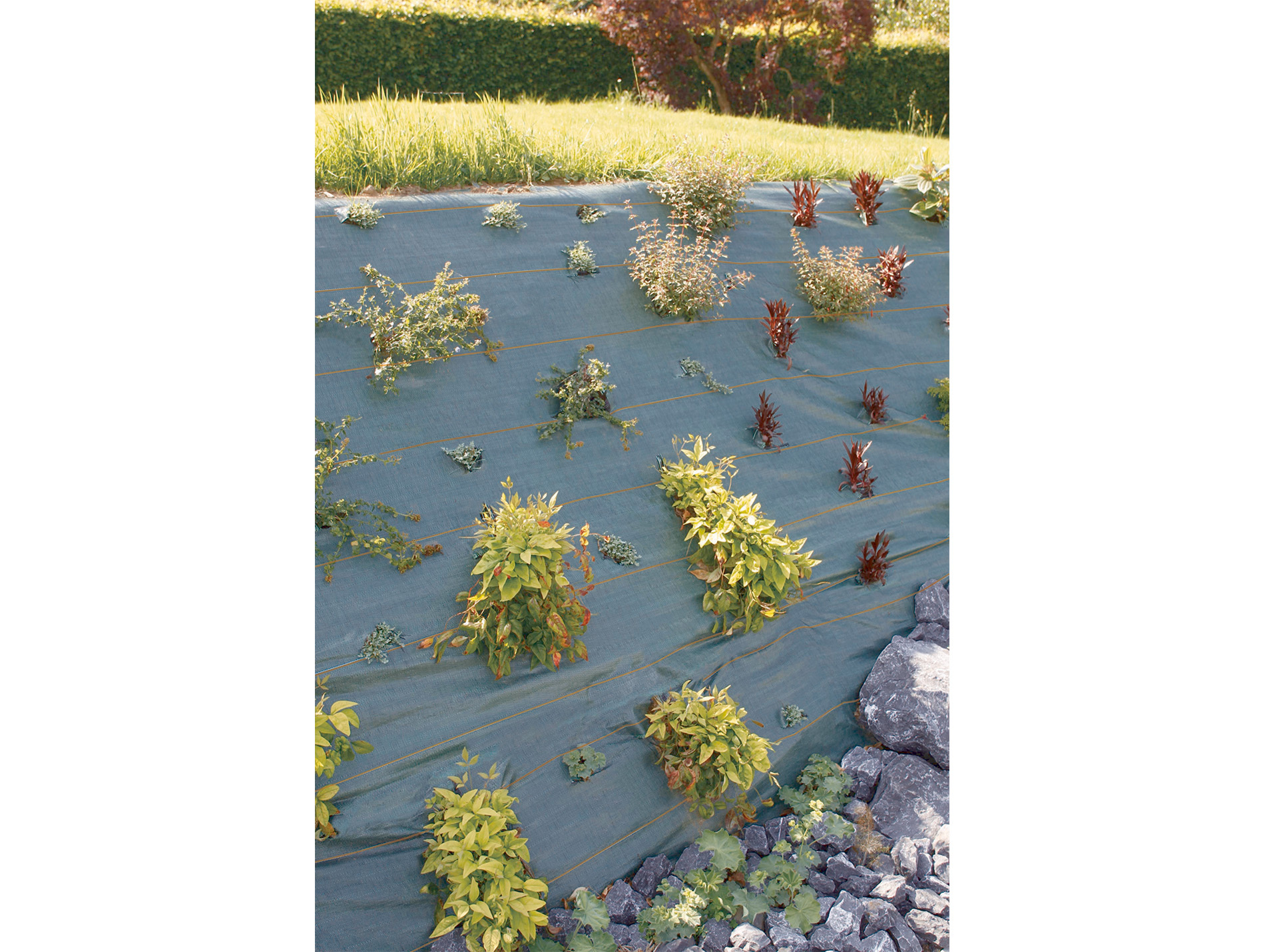 Toile de paillage AGROSOL l.3,25m x L.20m