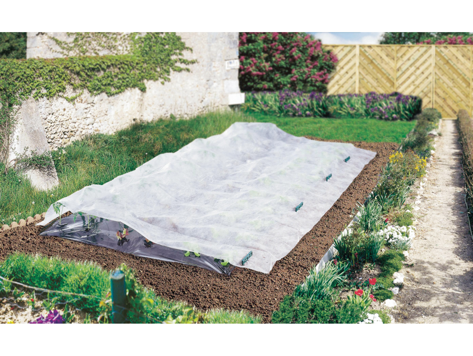 Voile de croissance Climatex 2x5m
