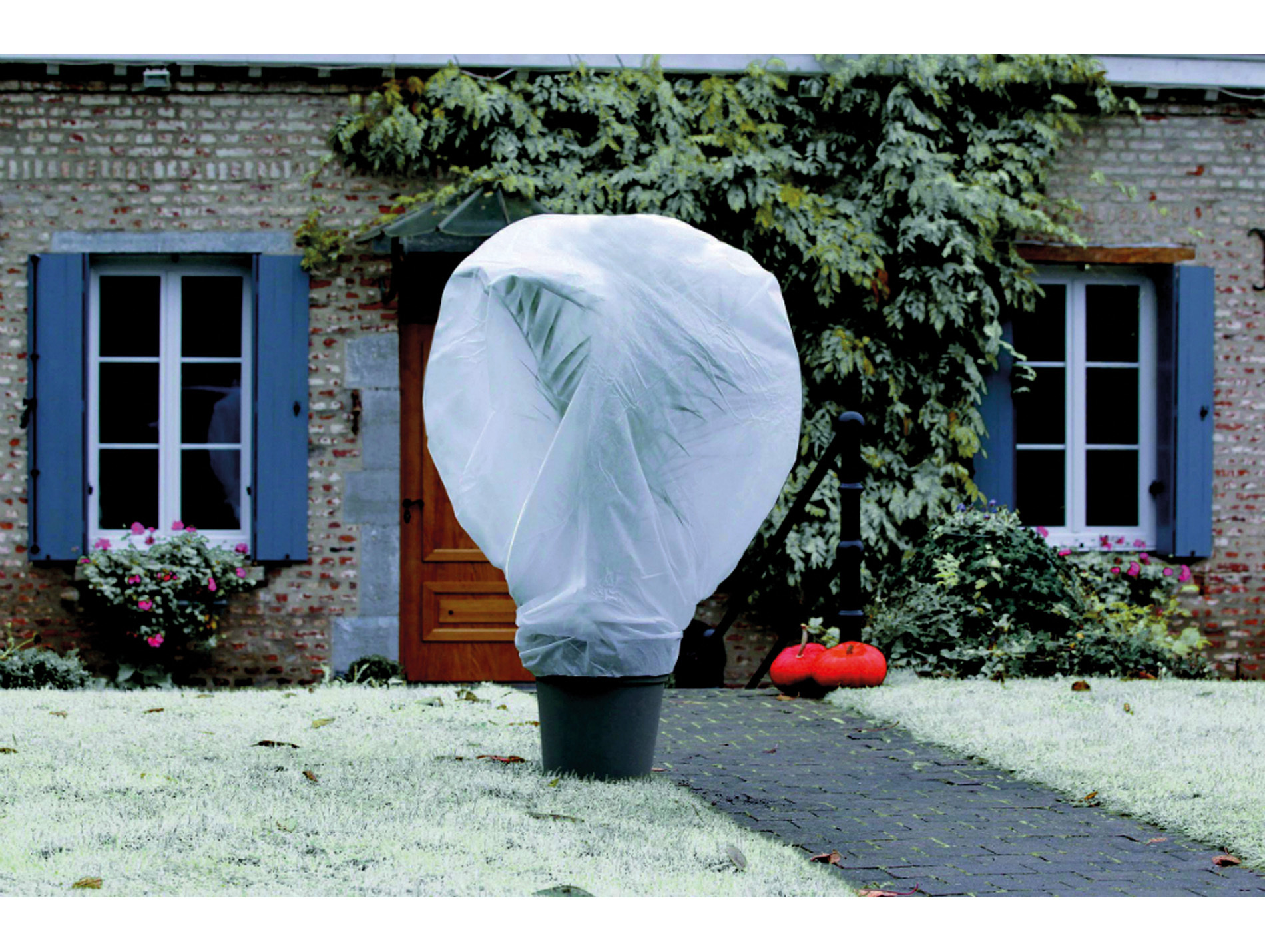Voile d'hivernage Wintertex 2x5m