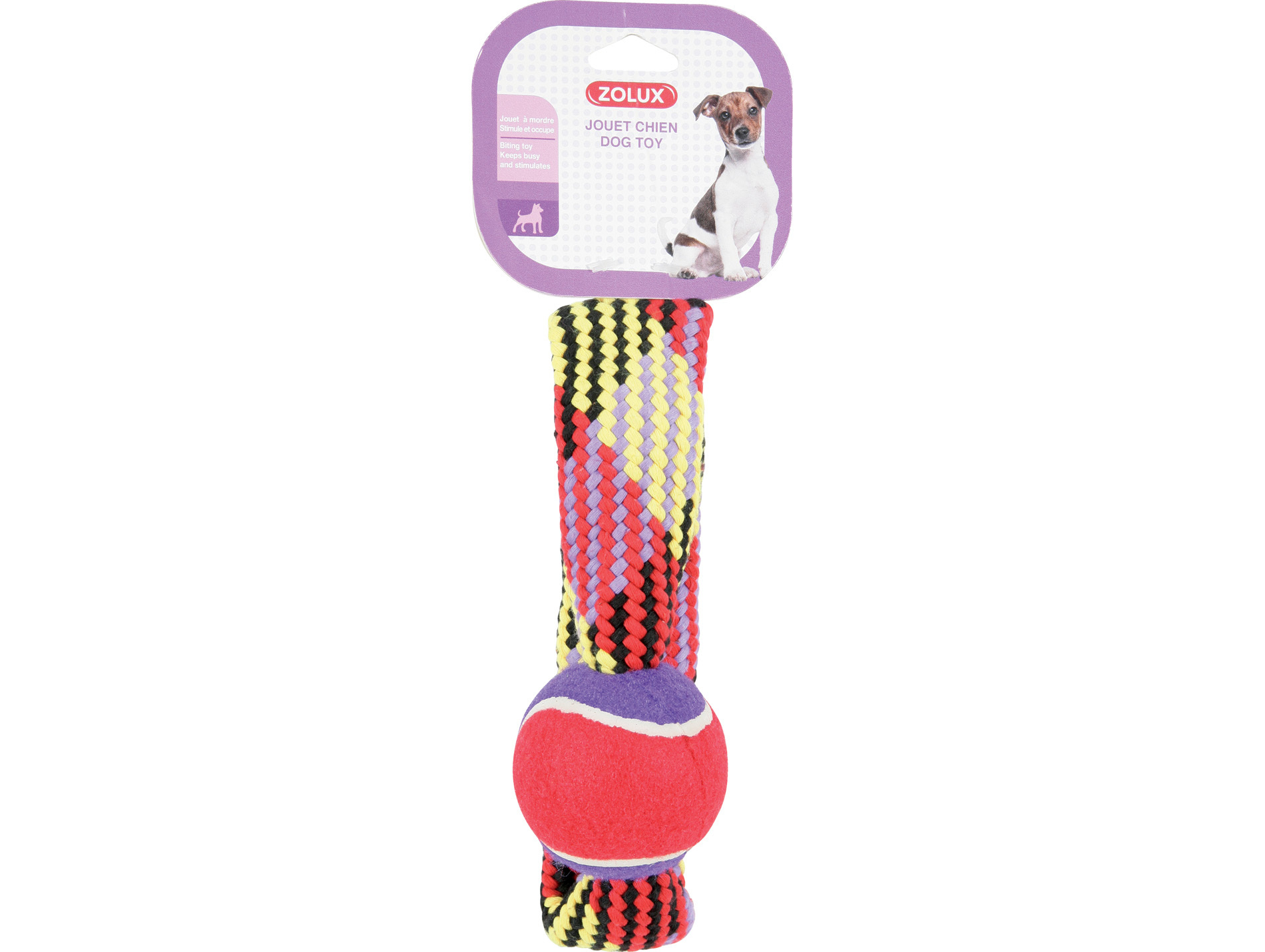 Jouet chien corde + balle de tennis sonore