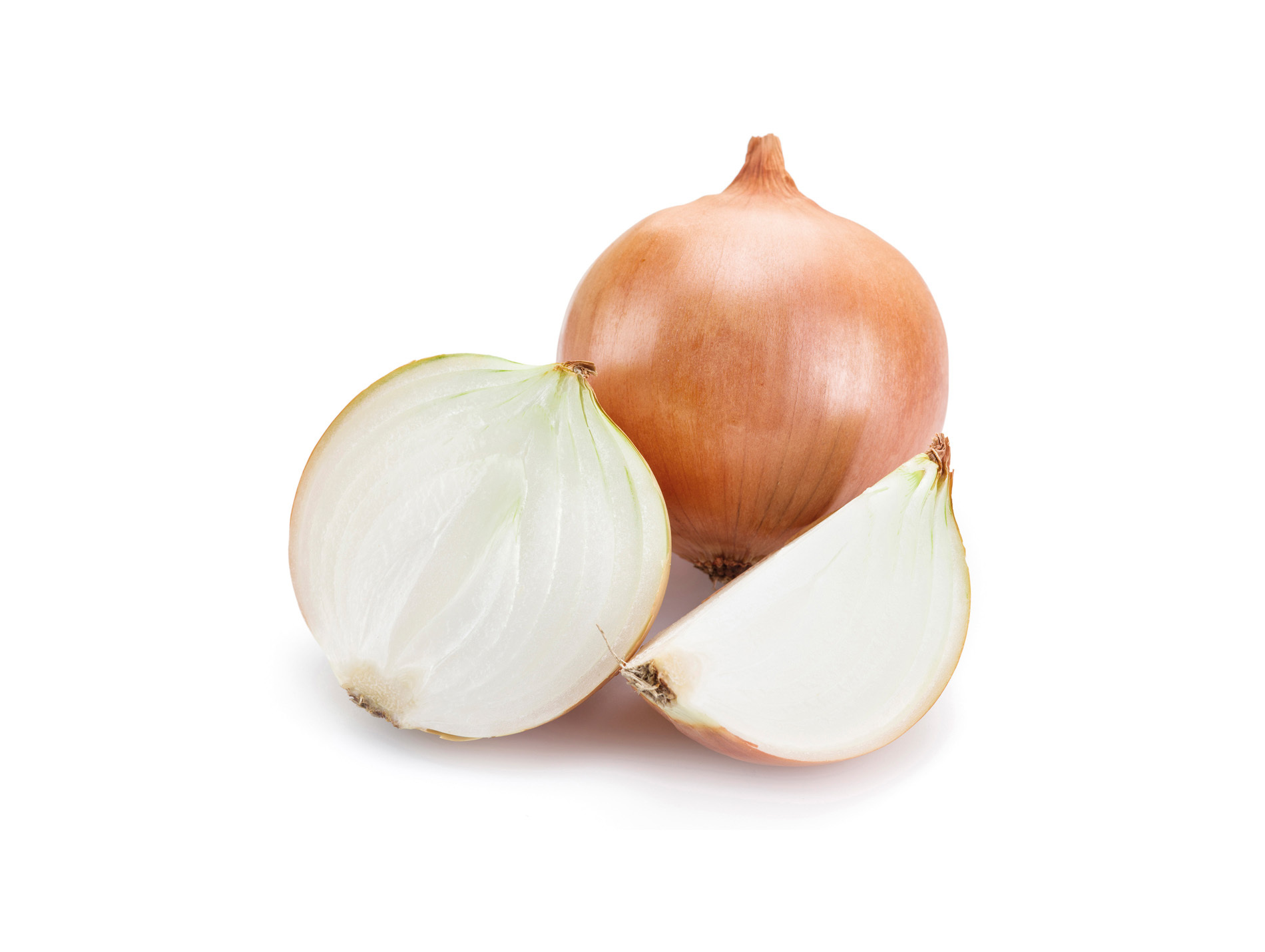 Bulbes d'oignon Stuttgarter 250 g