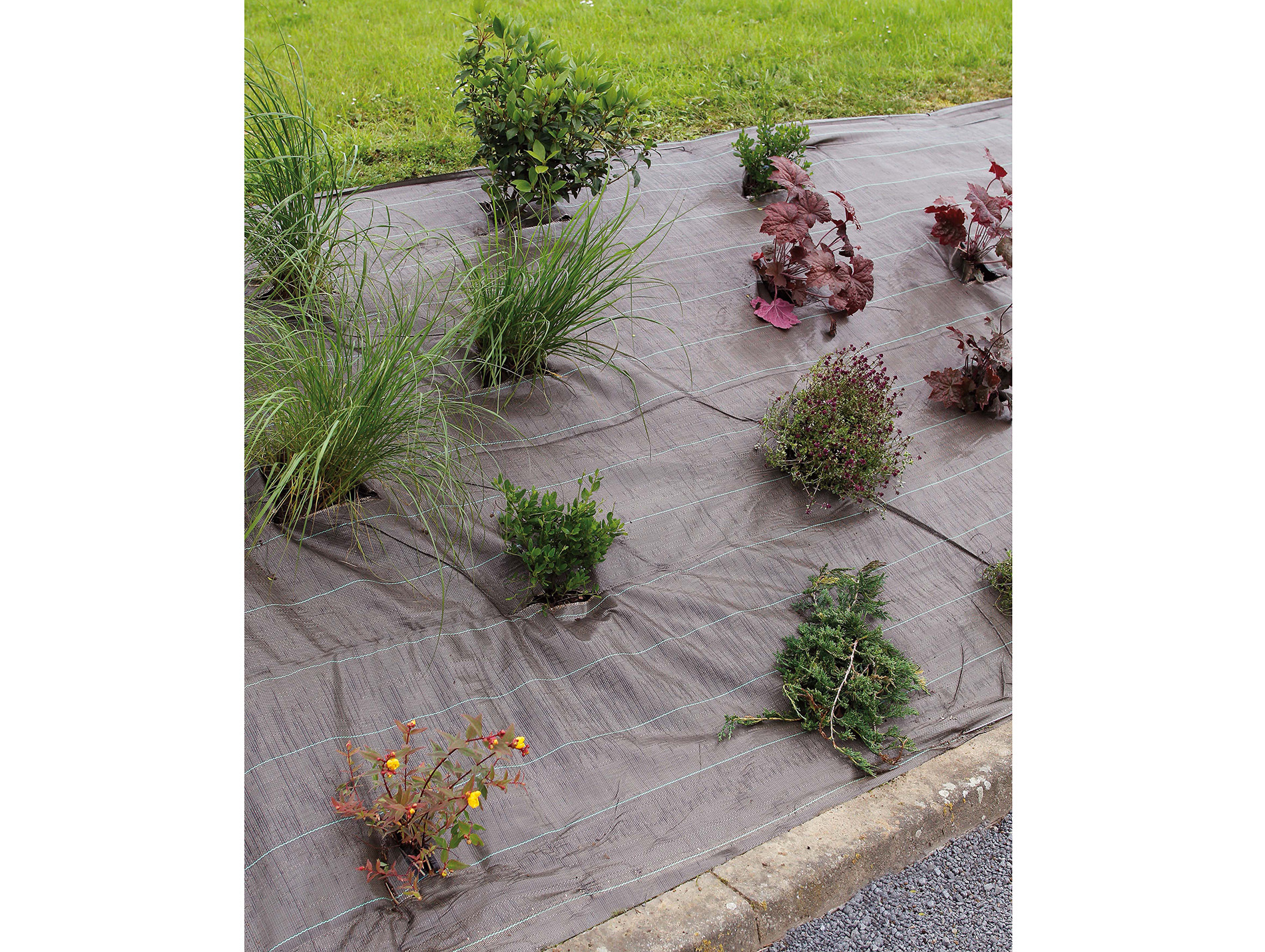Toile de paillage WEEDSOL 2,10x25m marron